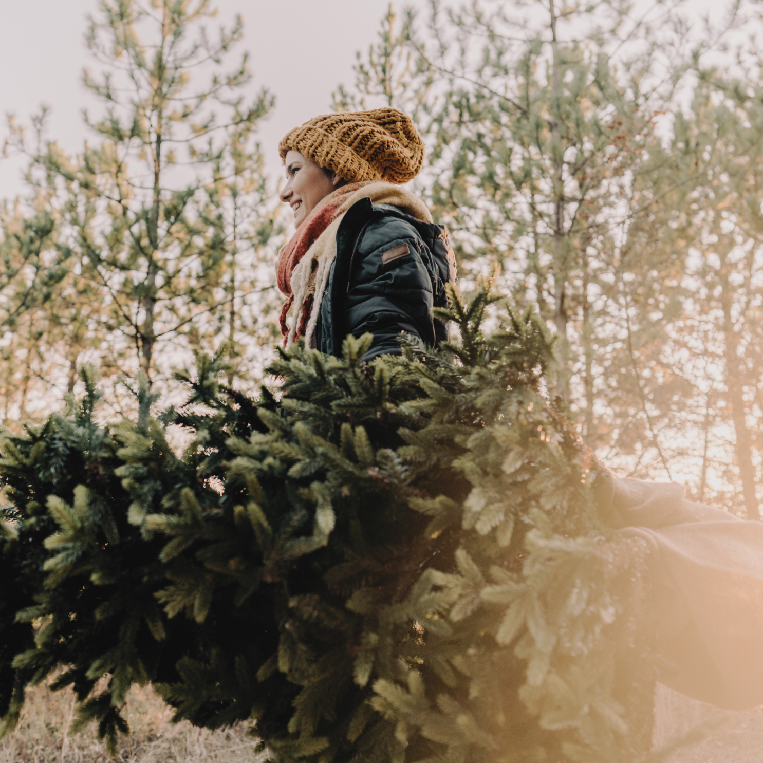 Advent: My Plan or God’s