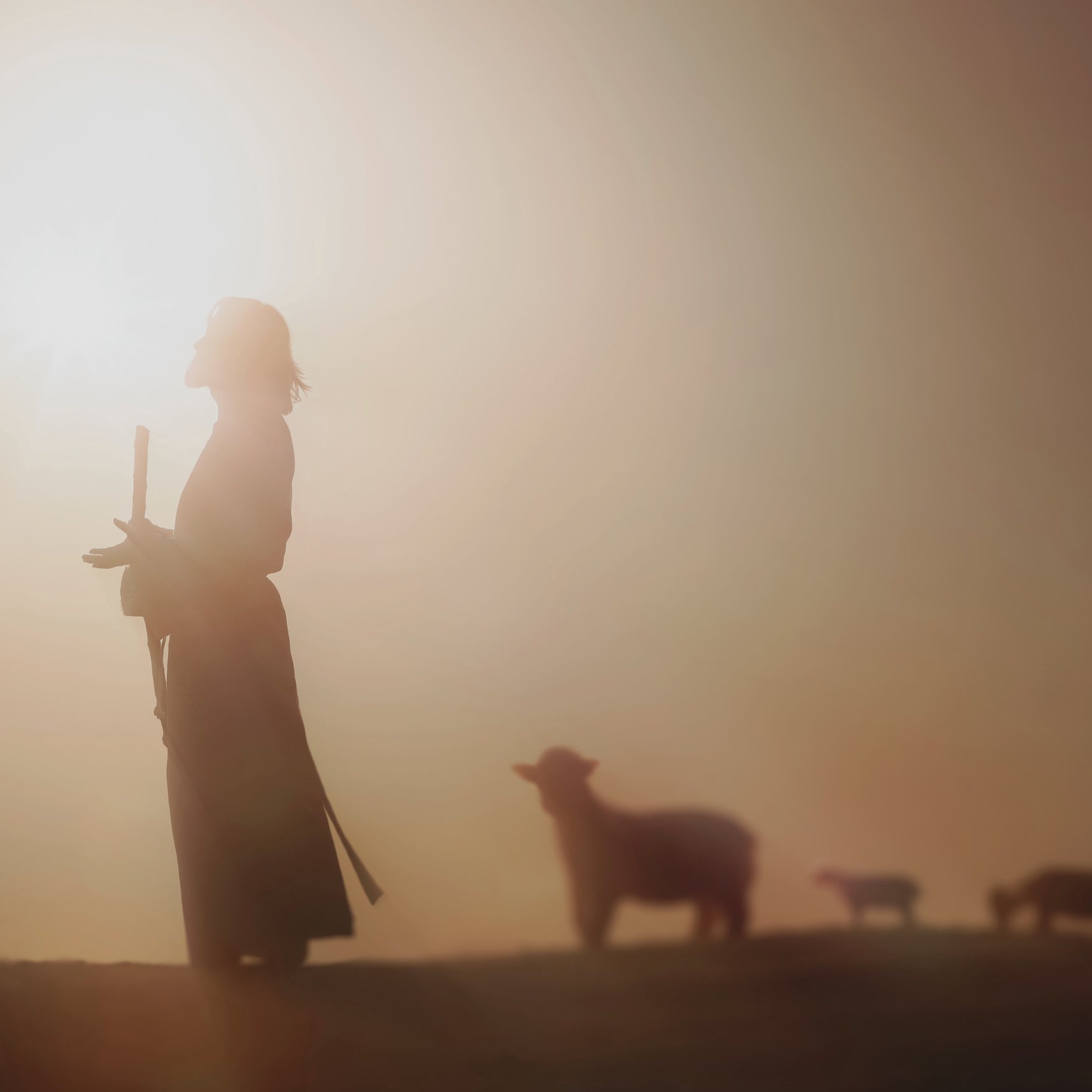 The Shepherds: Go and See