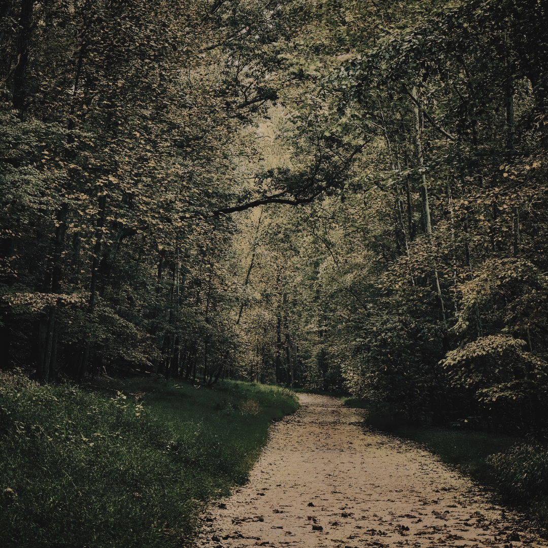 Following God Without the Full Picture