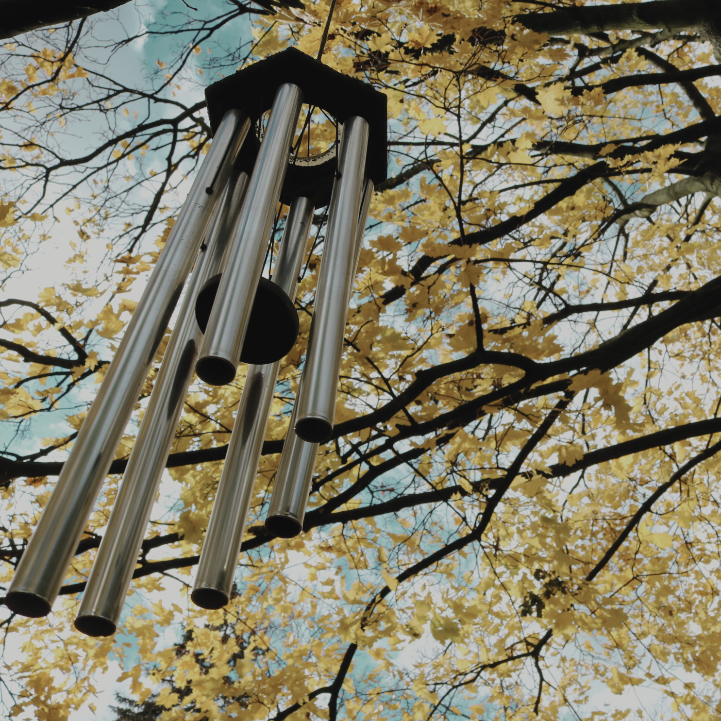 Wait – A Short Word but the Hardest to Do