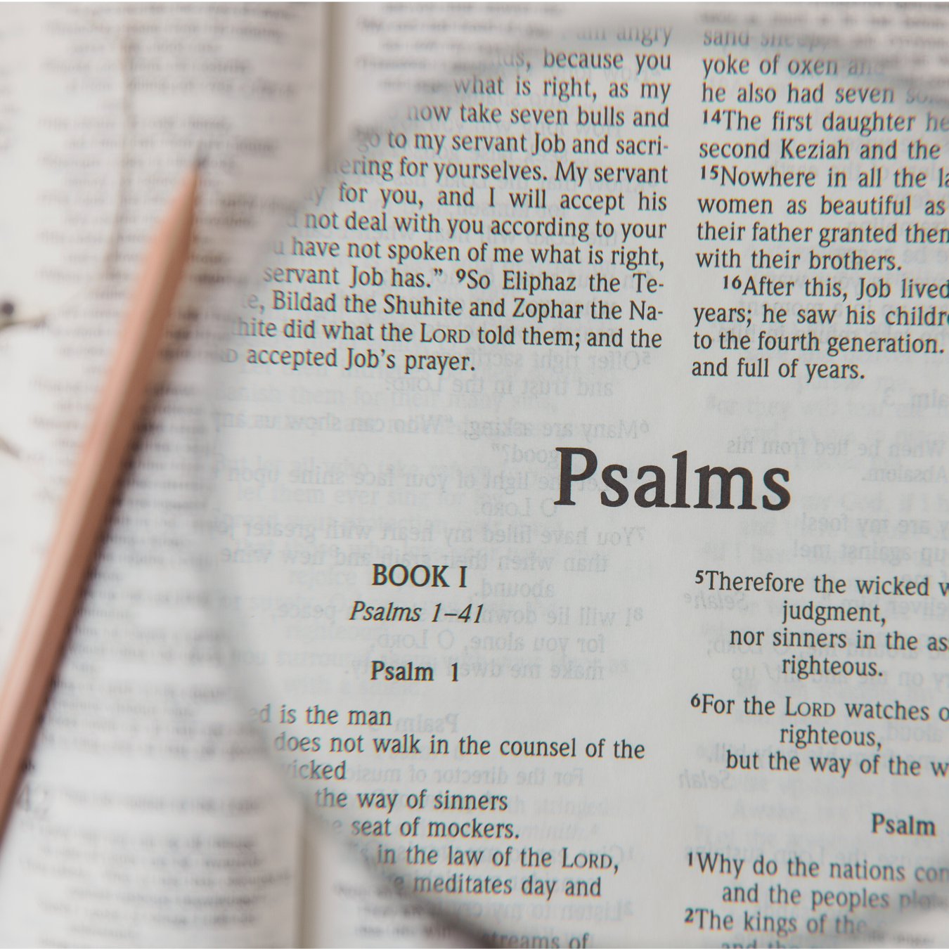 Psalm 119 -- Blameless vs Perfect