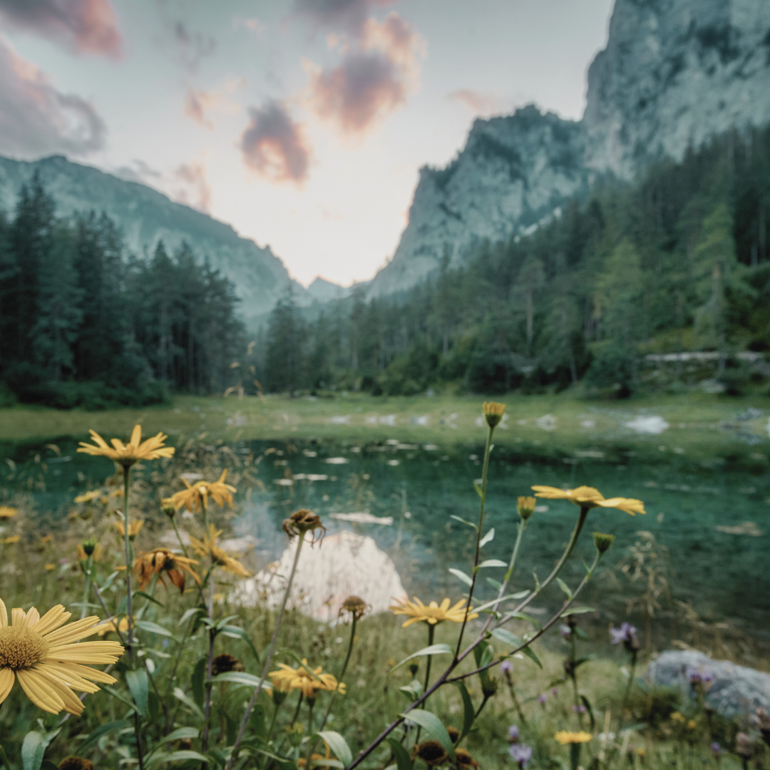 Psalm 119 -- Privileged