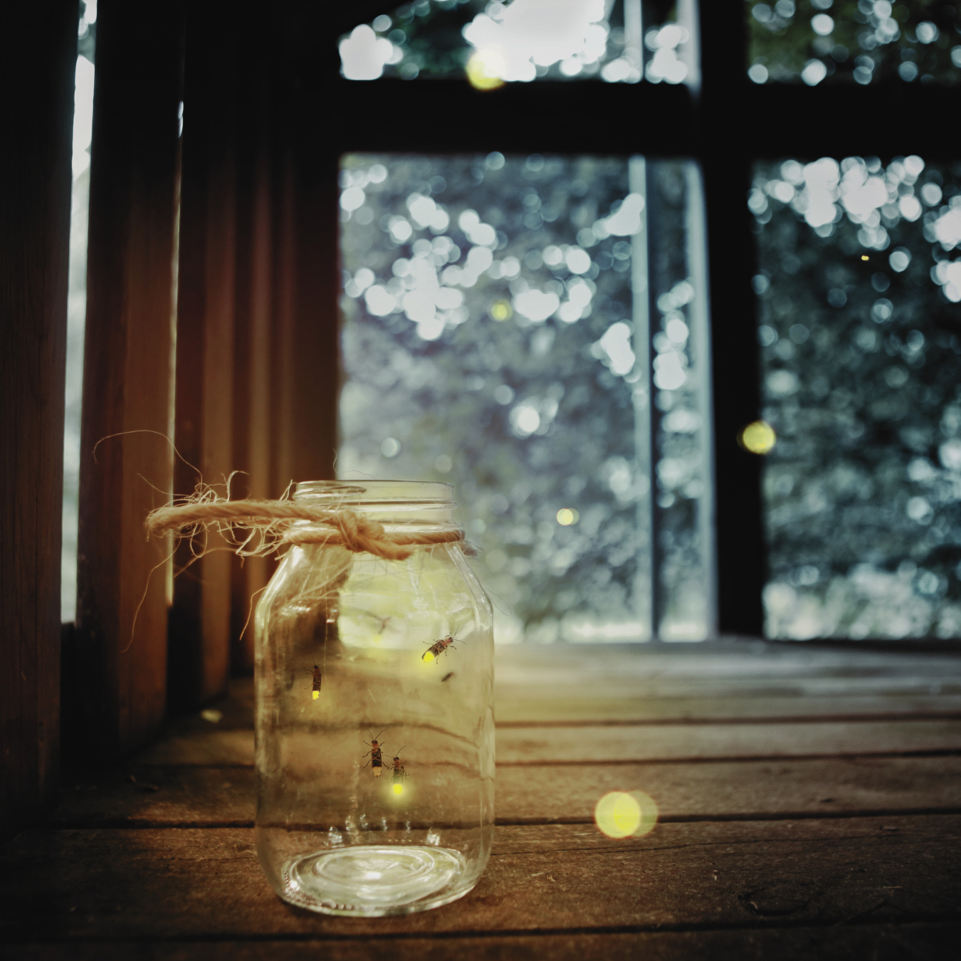 Lightning Bugs