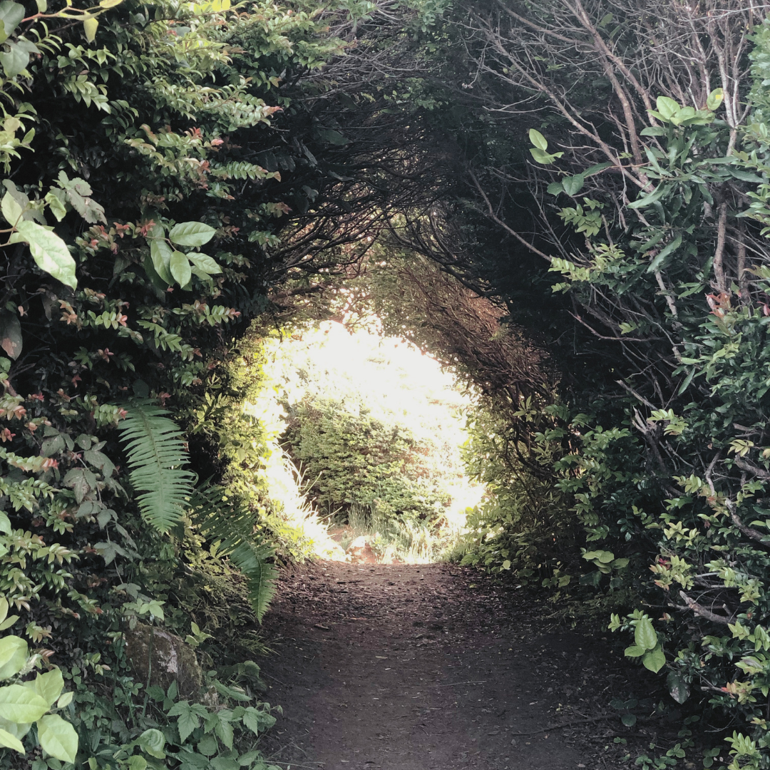 Glimpses
