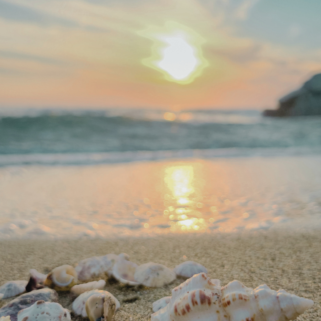 Treasures Along the Shore
