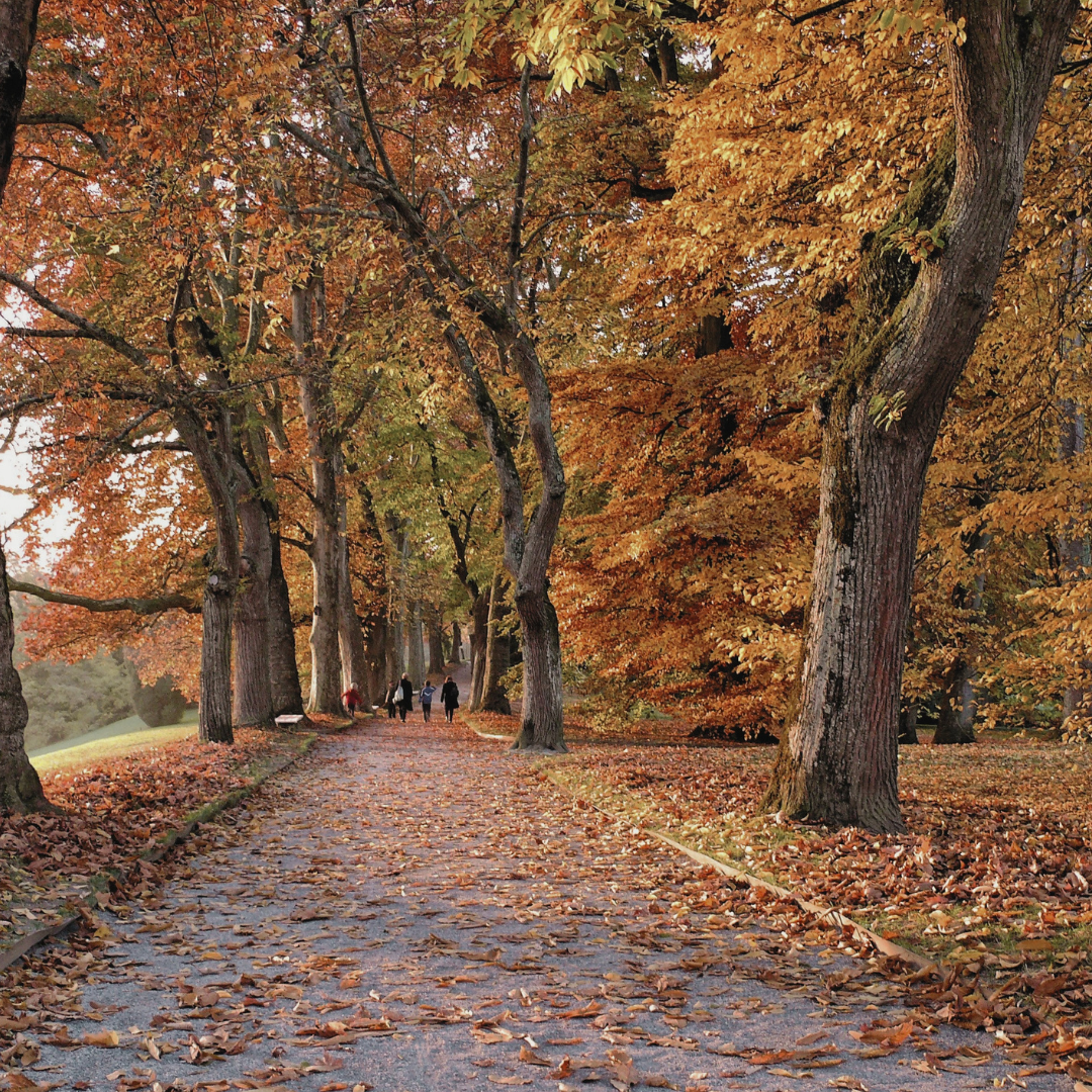 Changing of Seasons