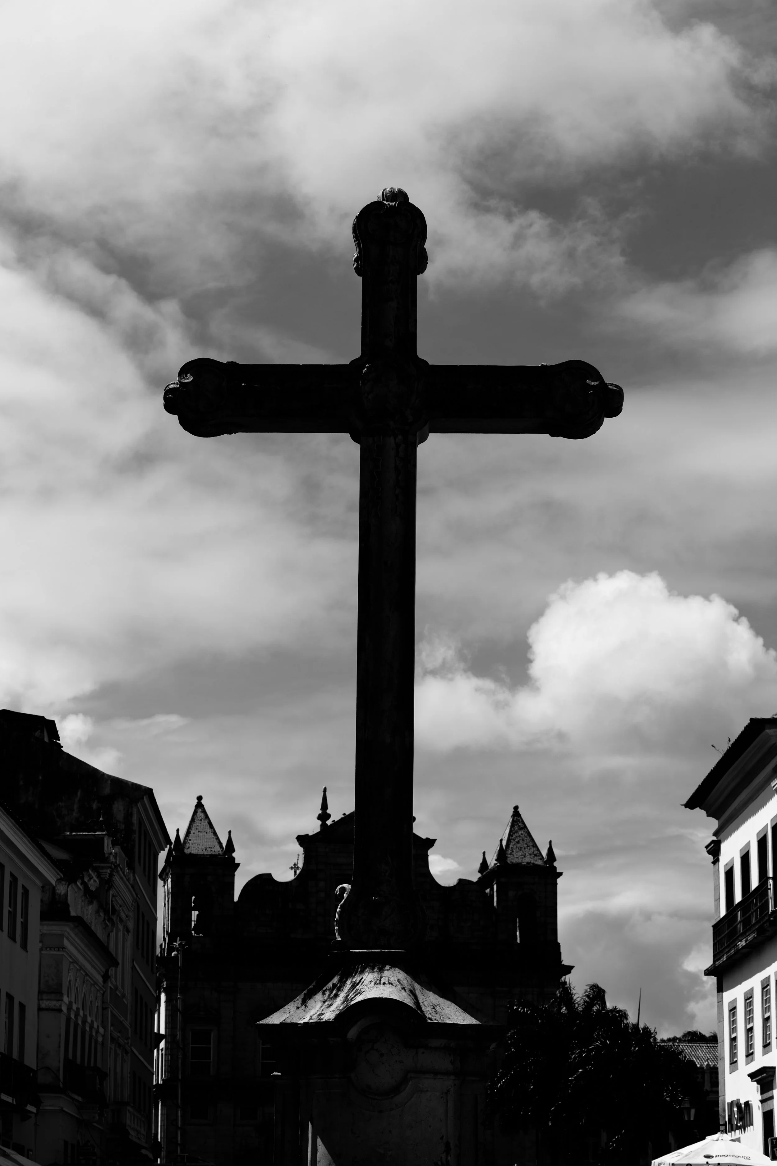 IMG_8886.jpg