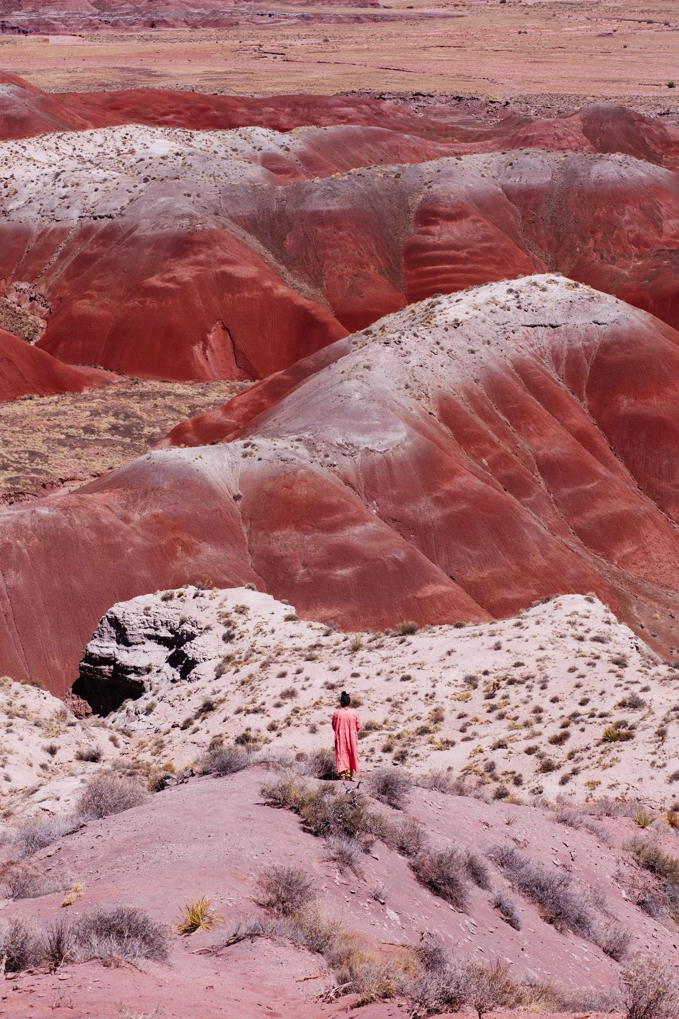 1_orenda tribe print.jpg