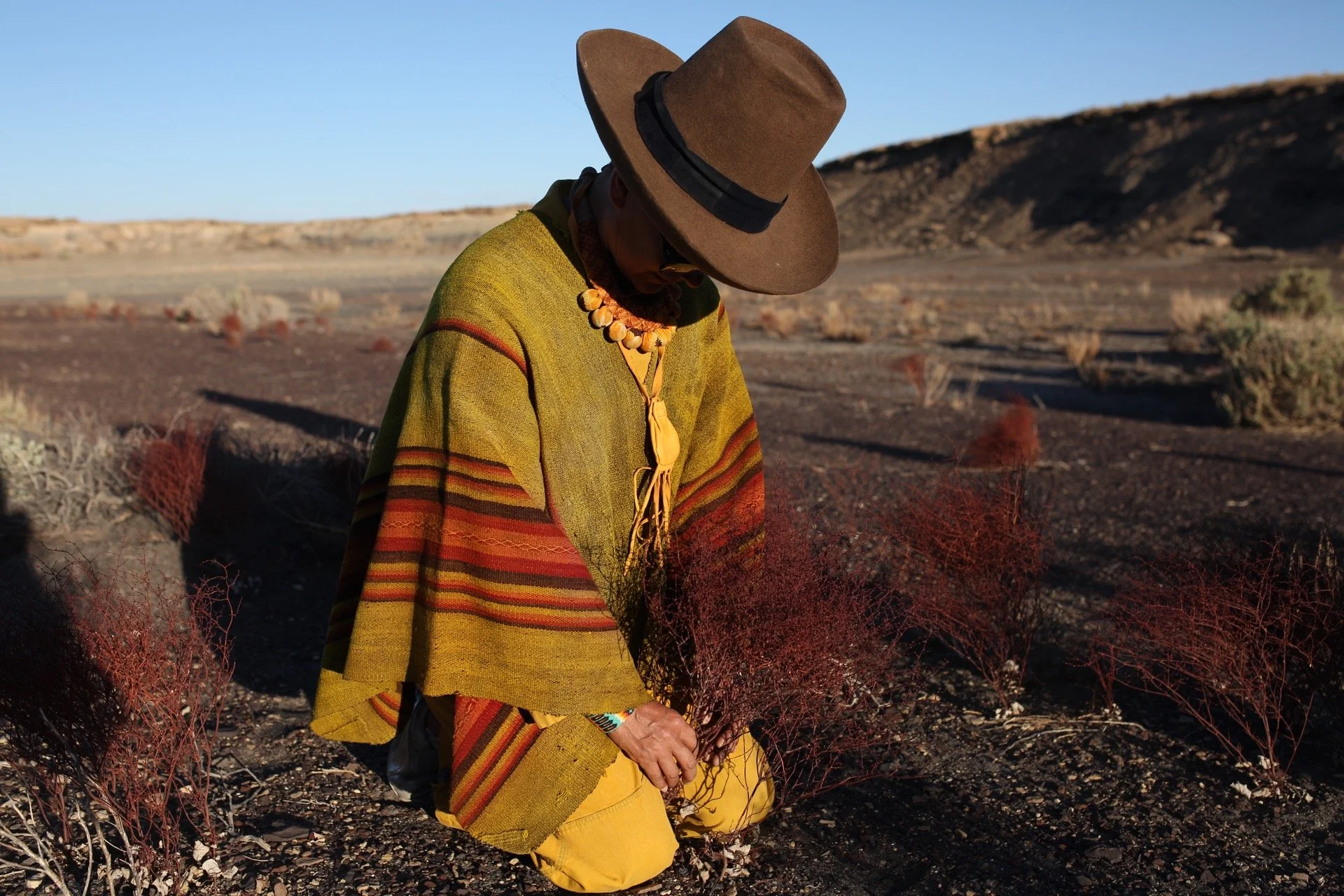 Photo May 15, 6 03 24 PM.jpg