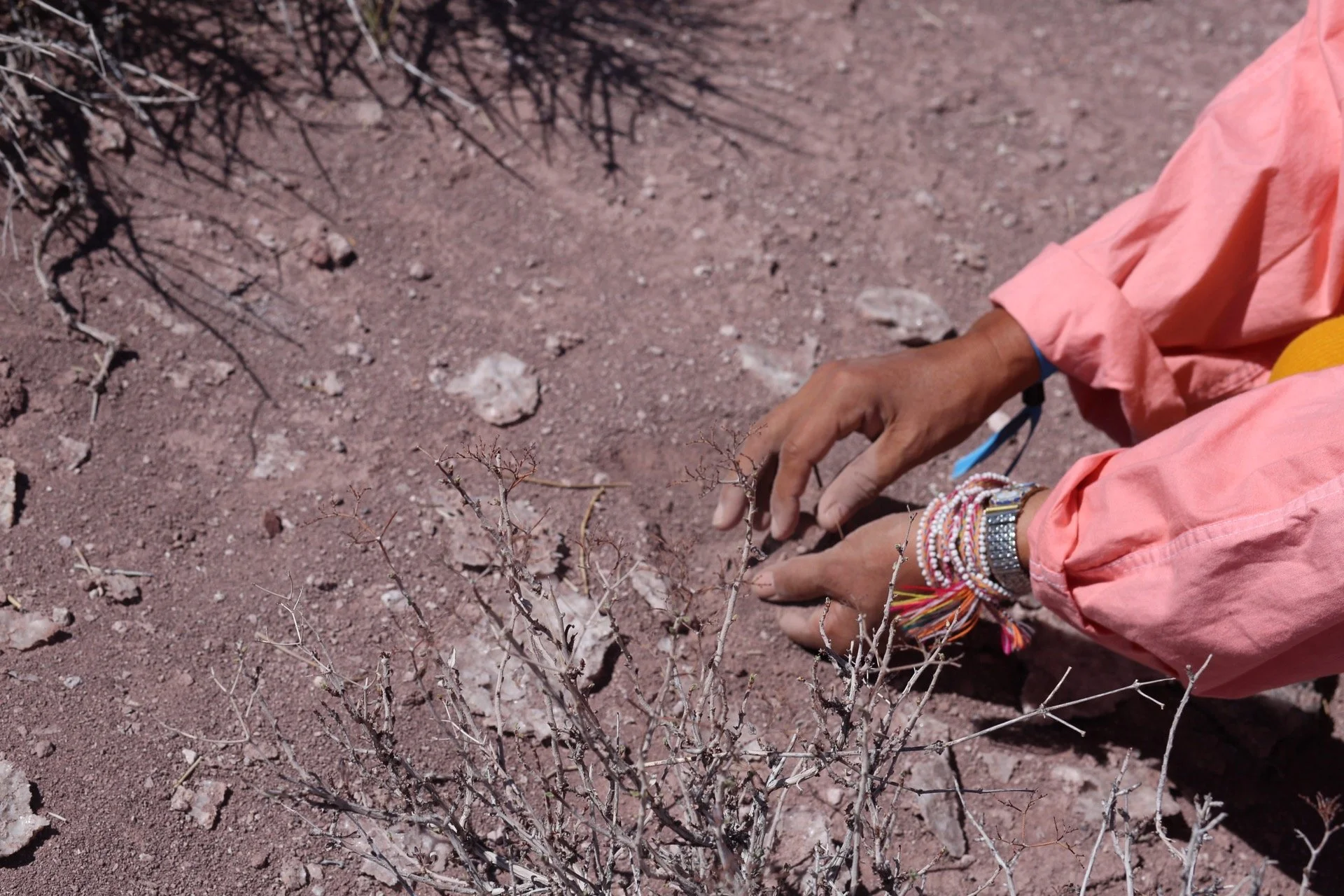 Photo May 14, 11 34 22 AM.jpg