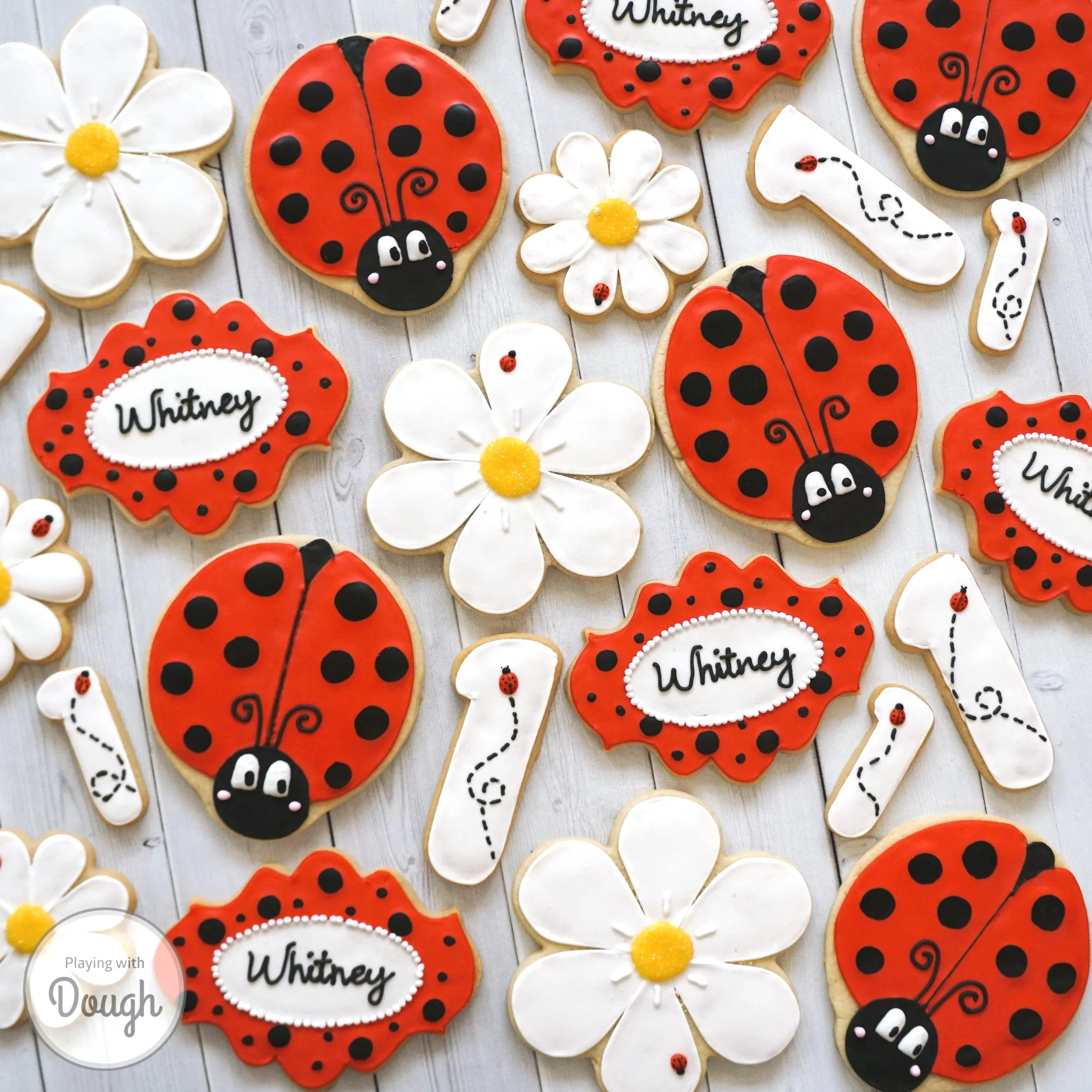 ladybugs.jpg