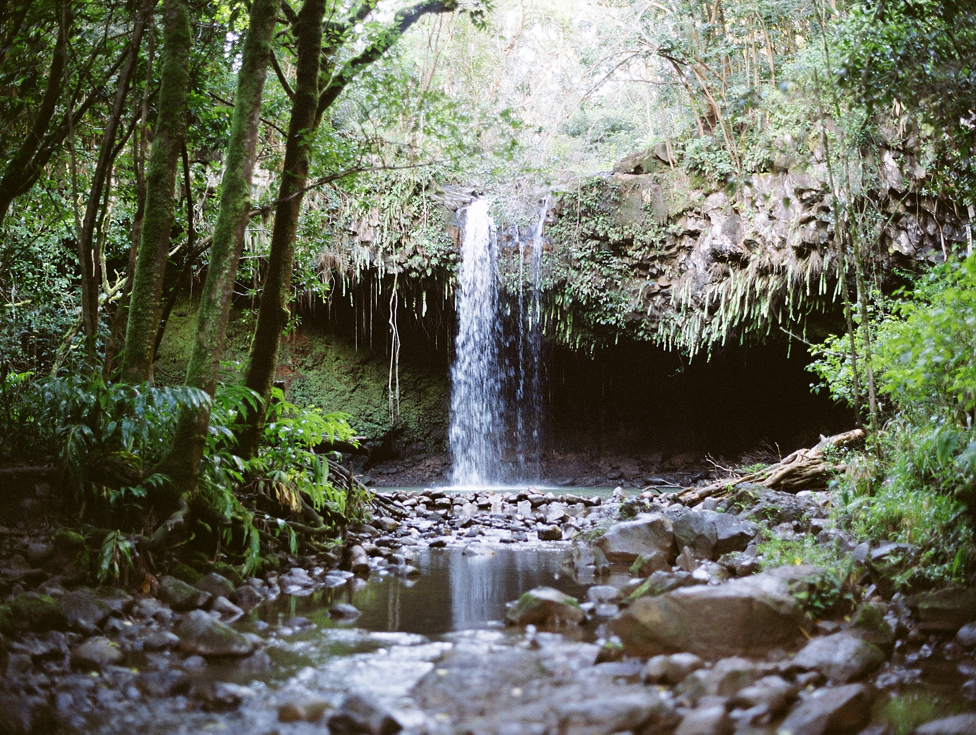 Maui Waterfall Elopement_0003.jpg