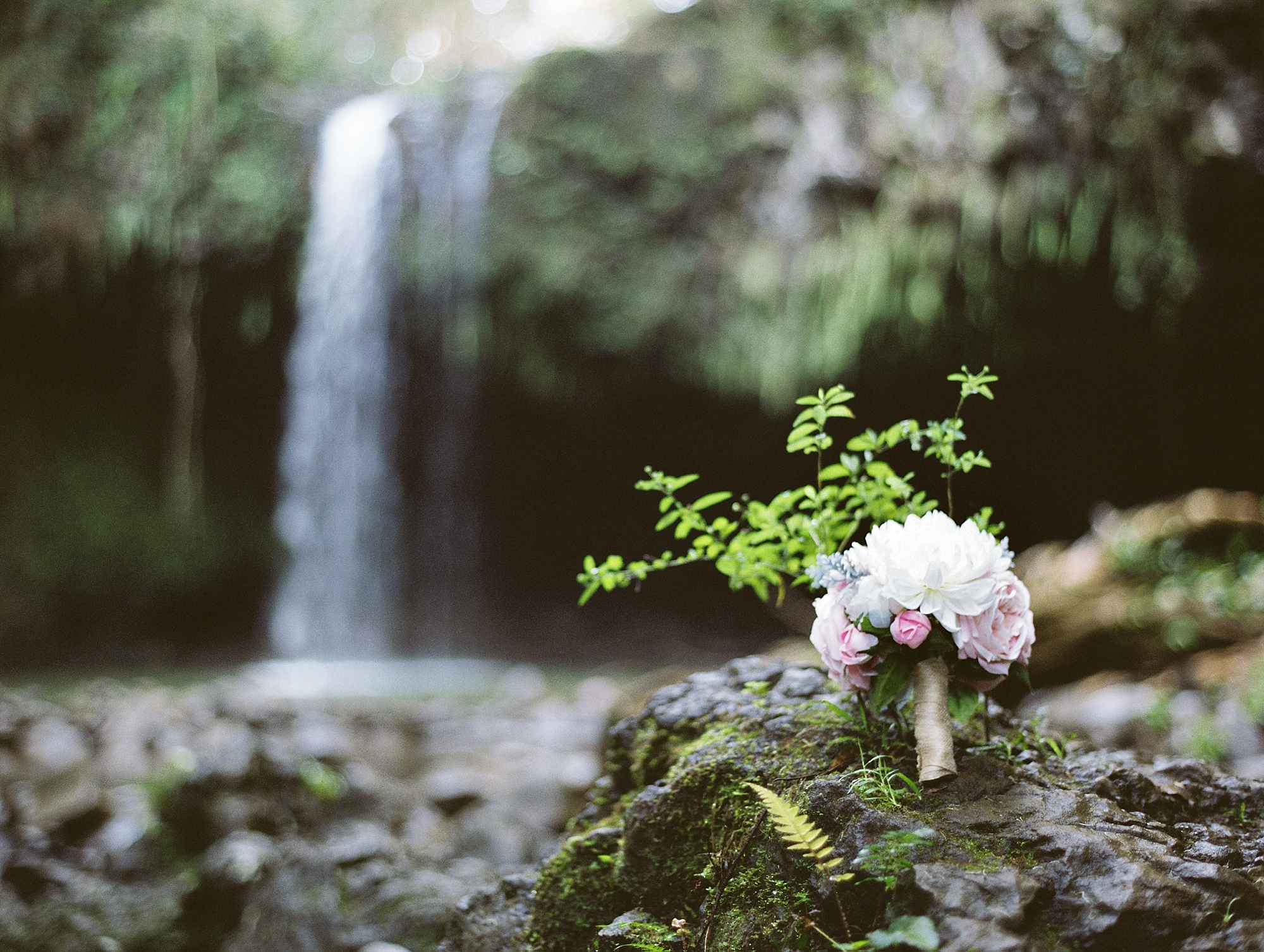 Maui Waterfall Elopement_0004.jpg