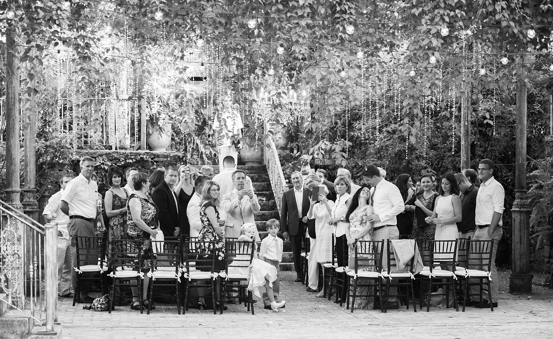 57-wedding-guests-smiling-haiku-mill.jpg