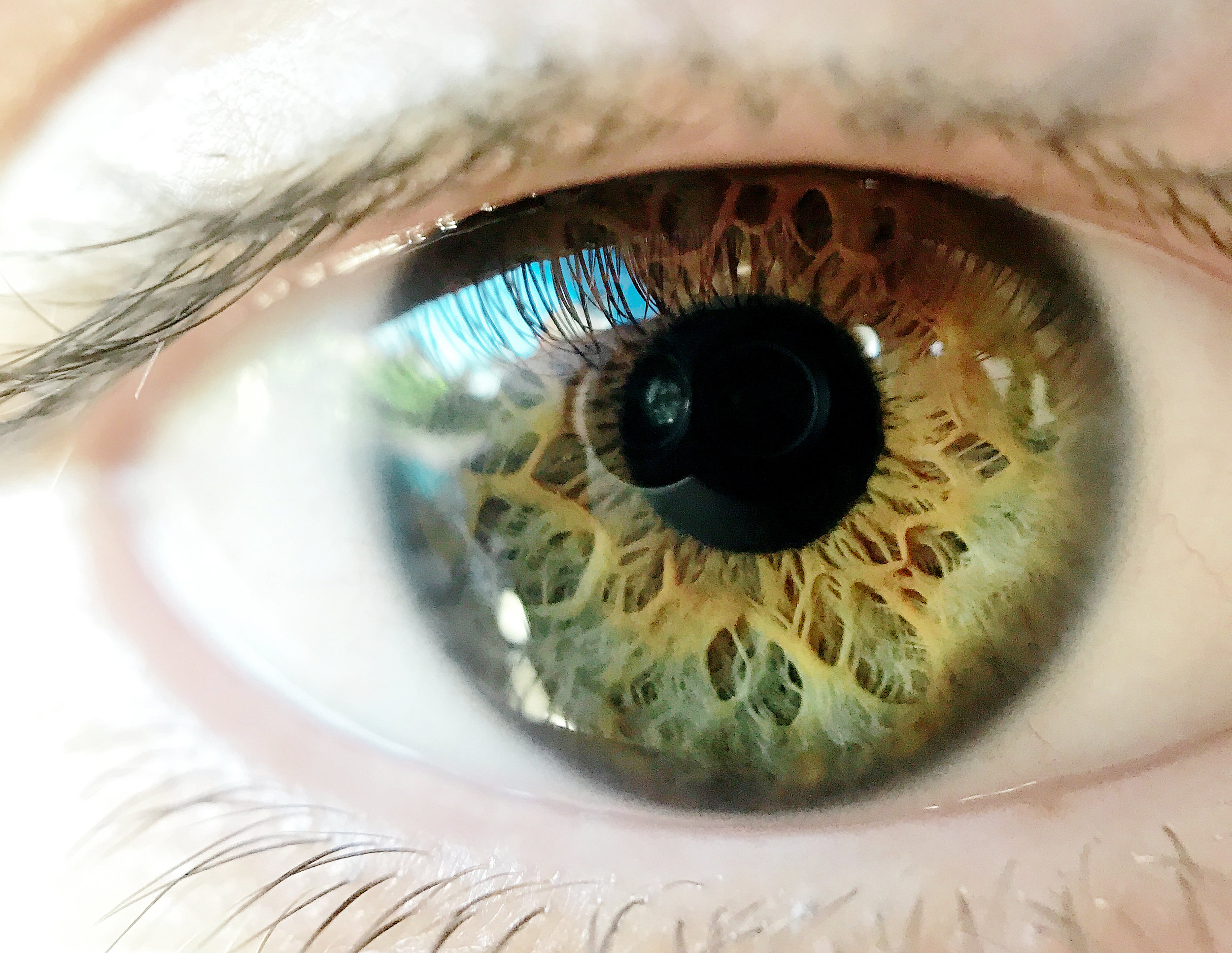 Iphone 7+ - this is my son's eyeball. I am now, officially, obsessed with eyeballs. 