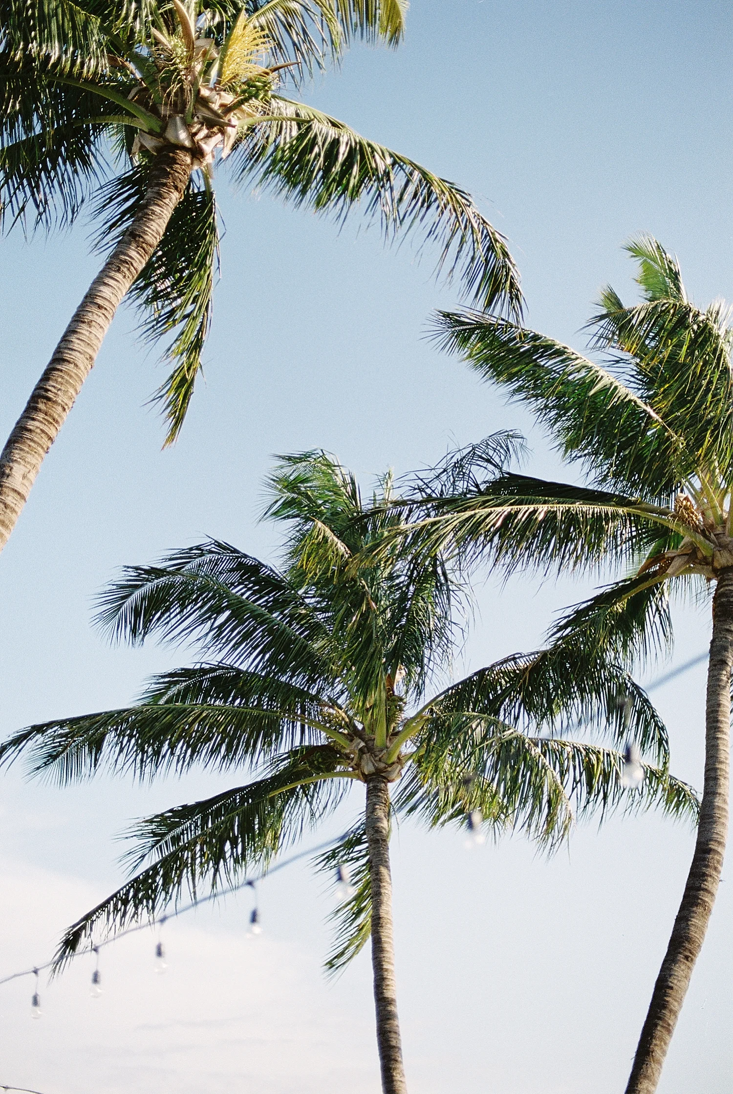 Maui Wedding Photographer_0065.jpg