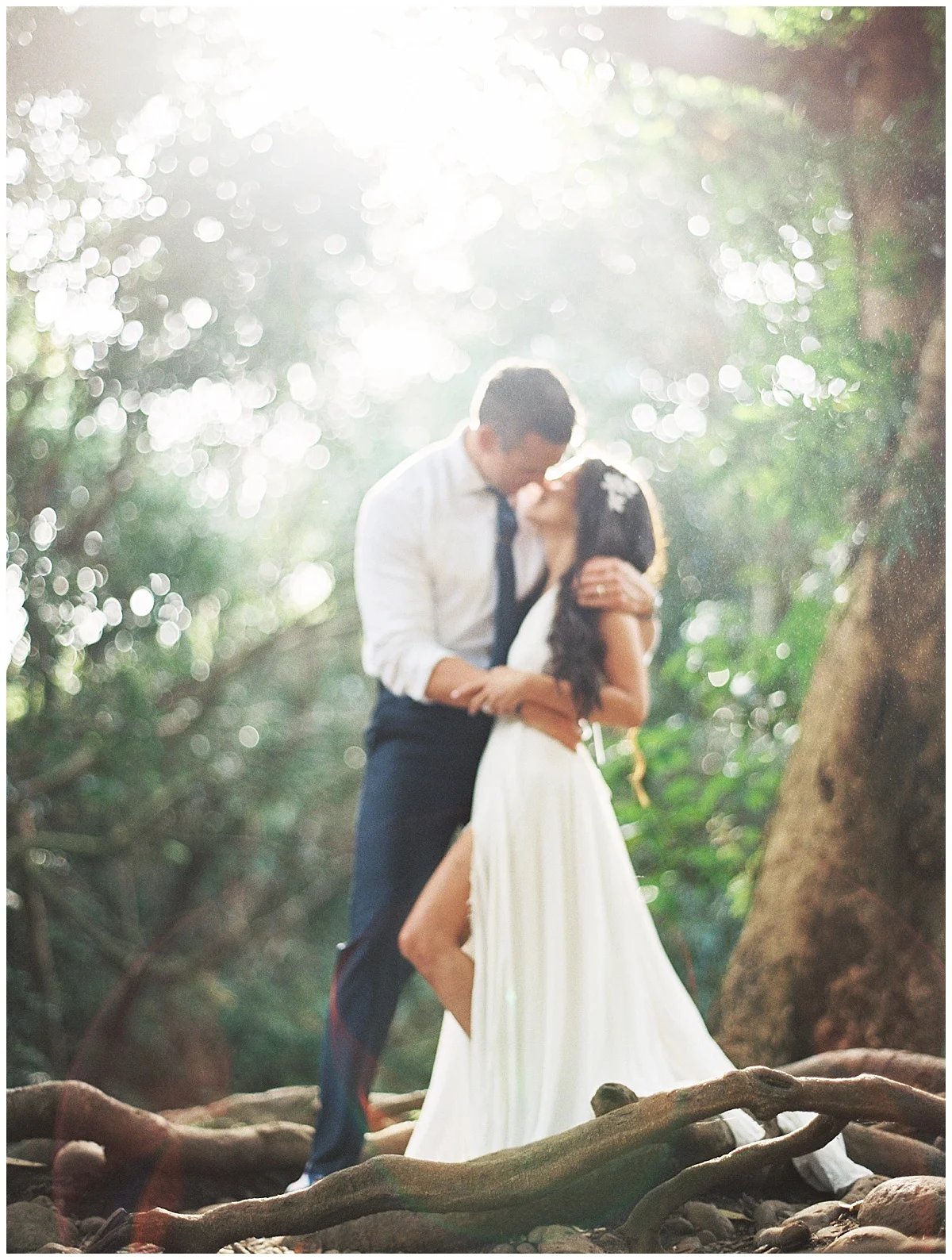 Maui-Waterfall-Wedding048.jpg