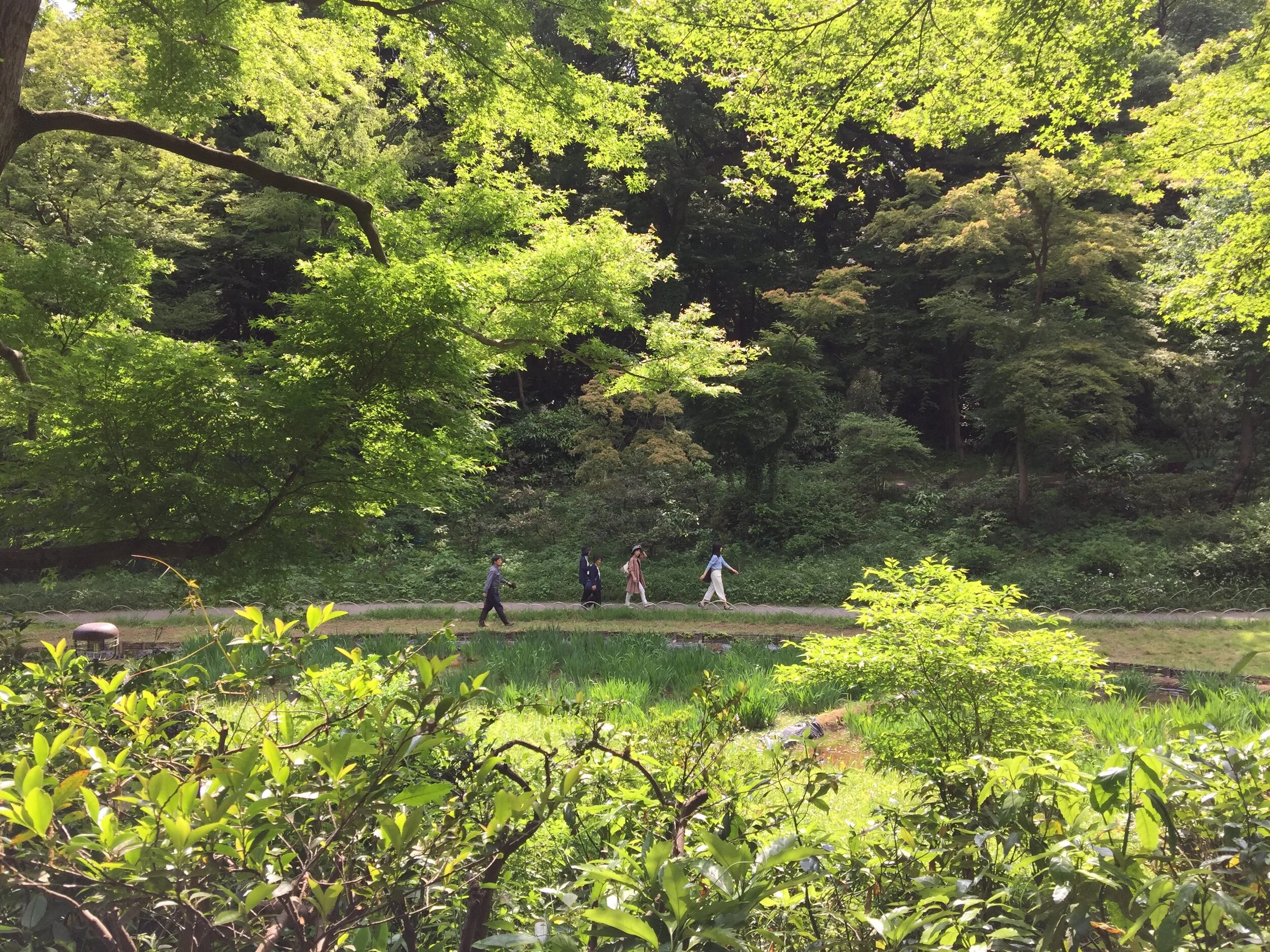 How to Make the Most of the Ombre Season