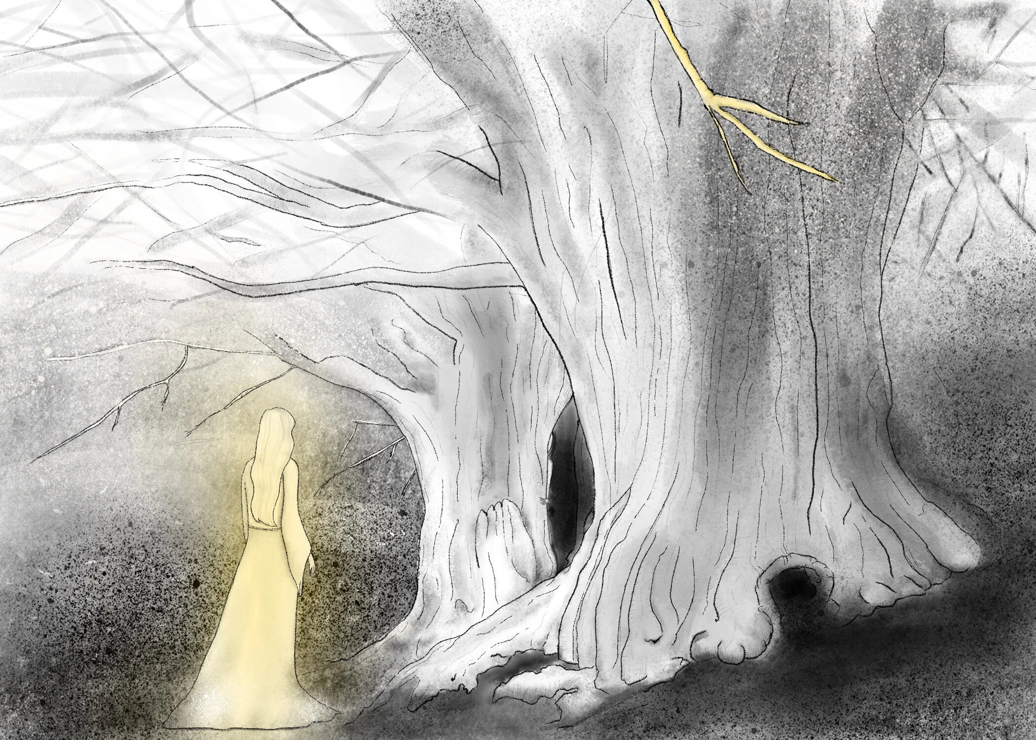 The Mysterious Disappearance of Contessa Willoughby: Part Nine