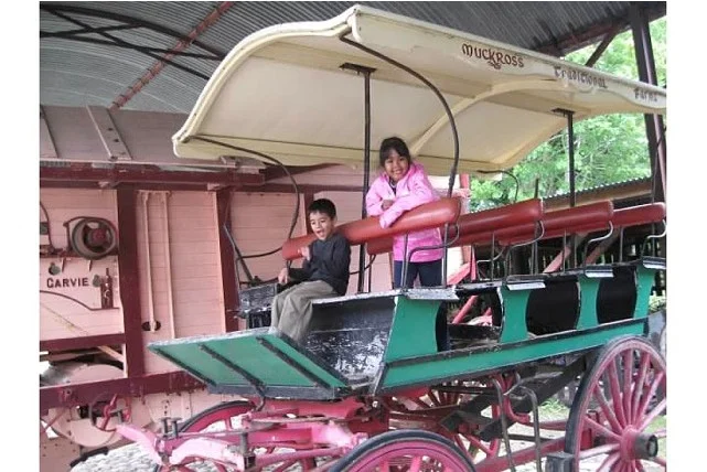Muckross Wagon