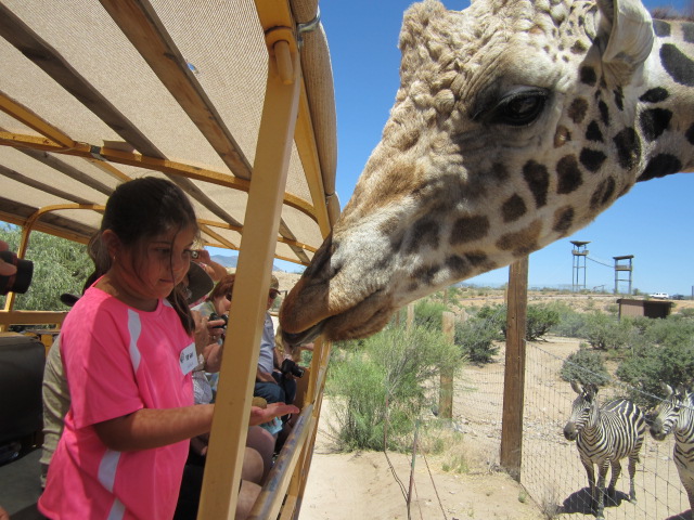 Wild Animal Preserve Grand Canyon