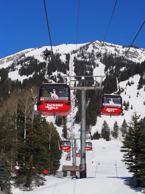 Jackson Hole Gondola
