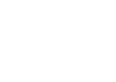 American Eagle Logo_White.png
