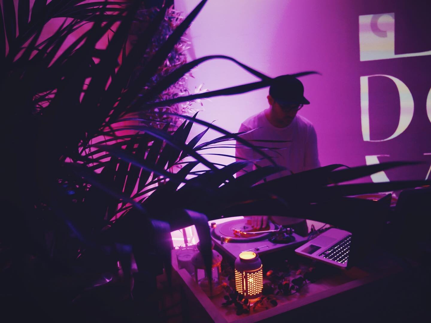 &ldquo;Plant Bass&rdquo;...Get it. 
#brooklyn #djing #plantbased #plantbass #turntables #purple #rarities #getit #monday