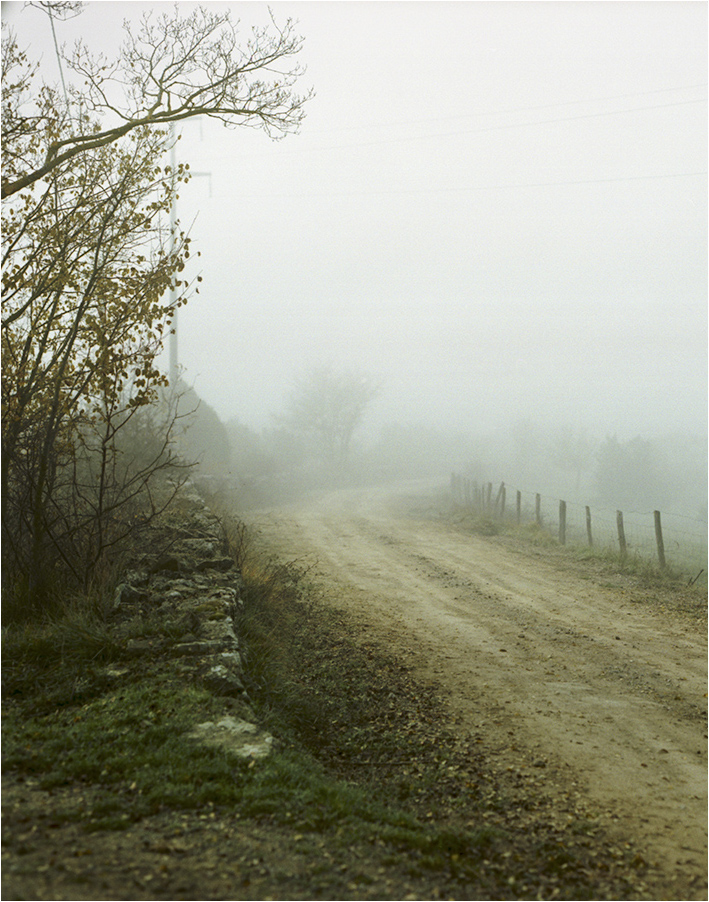 Strasse_Nebel_fl_hp.jpg