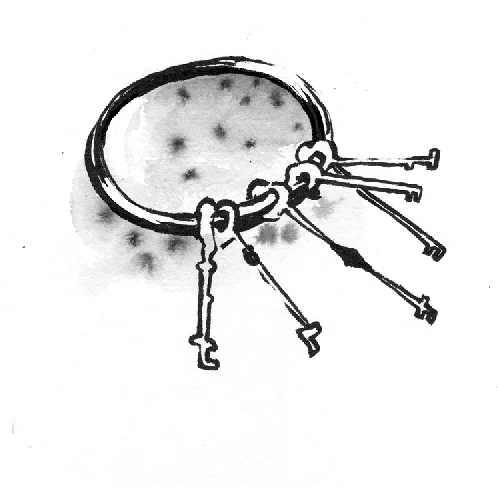3ed7d5ccc6ab0145-SWatts_keys.jpg