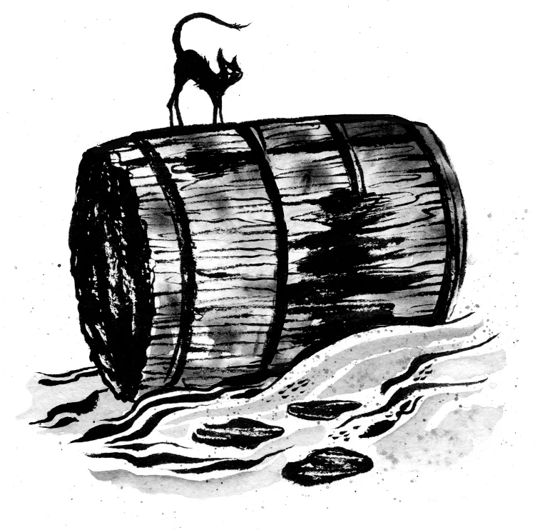fe80263157eee185-SWatts_Barrel.jpg