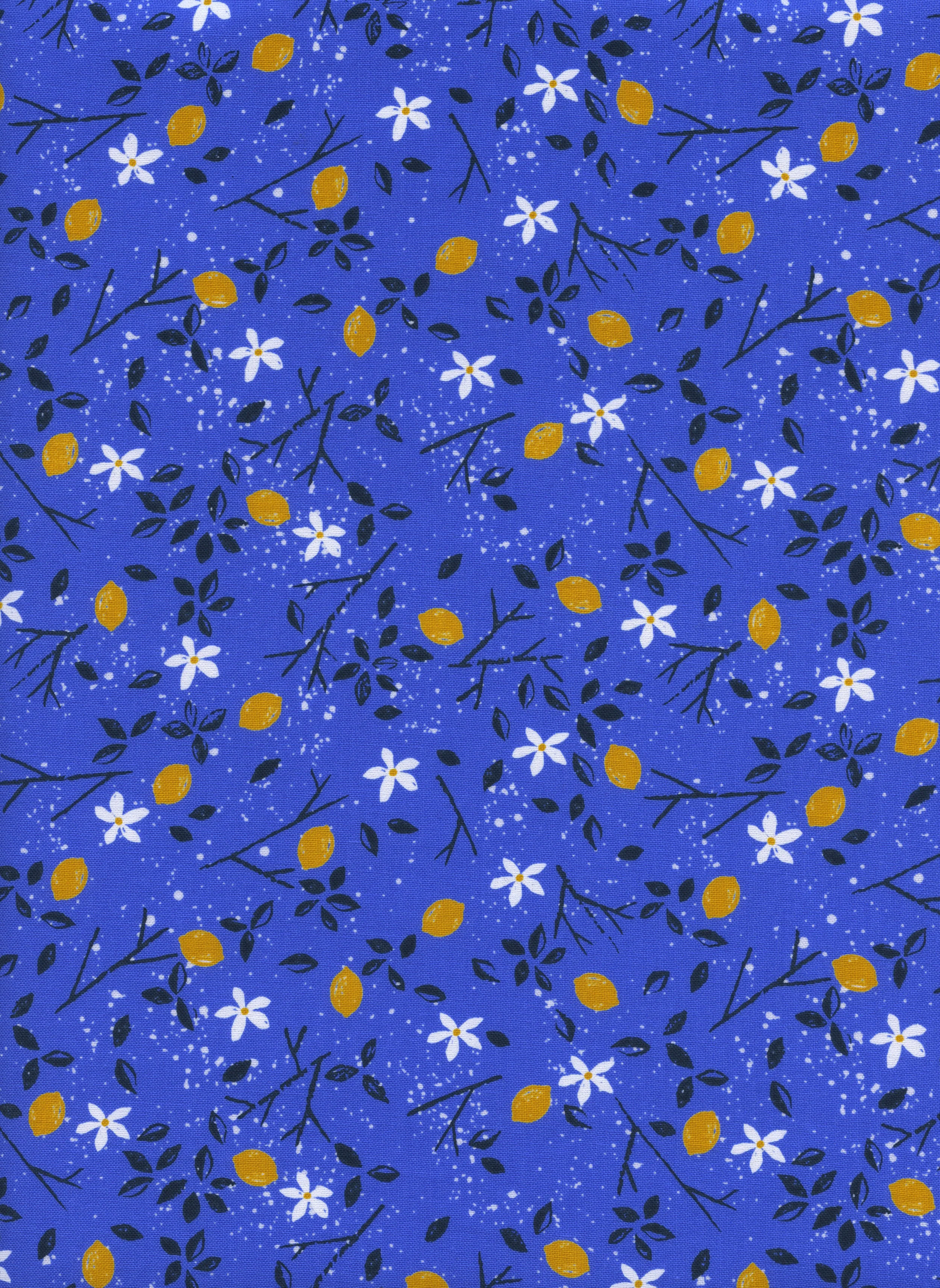 2037-1.From.Porto.Lemon.Trees.Blue.jpeg