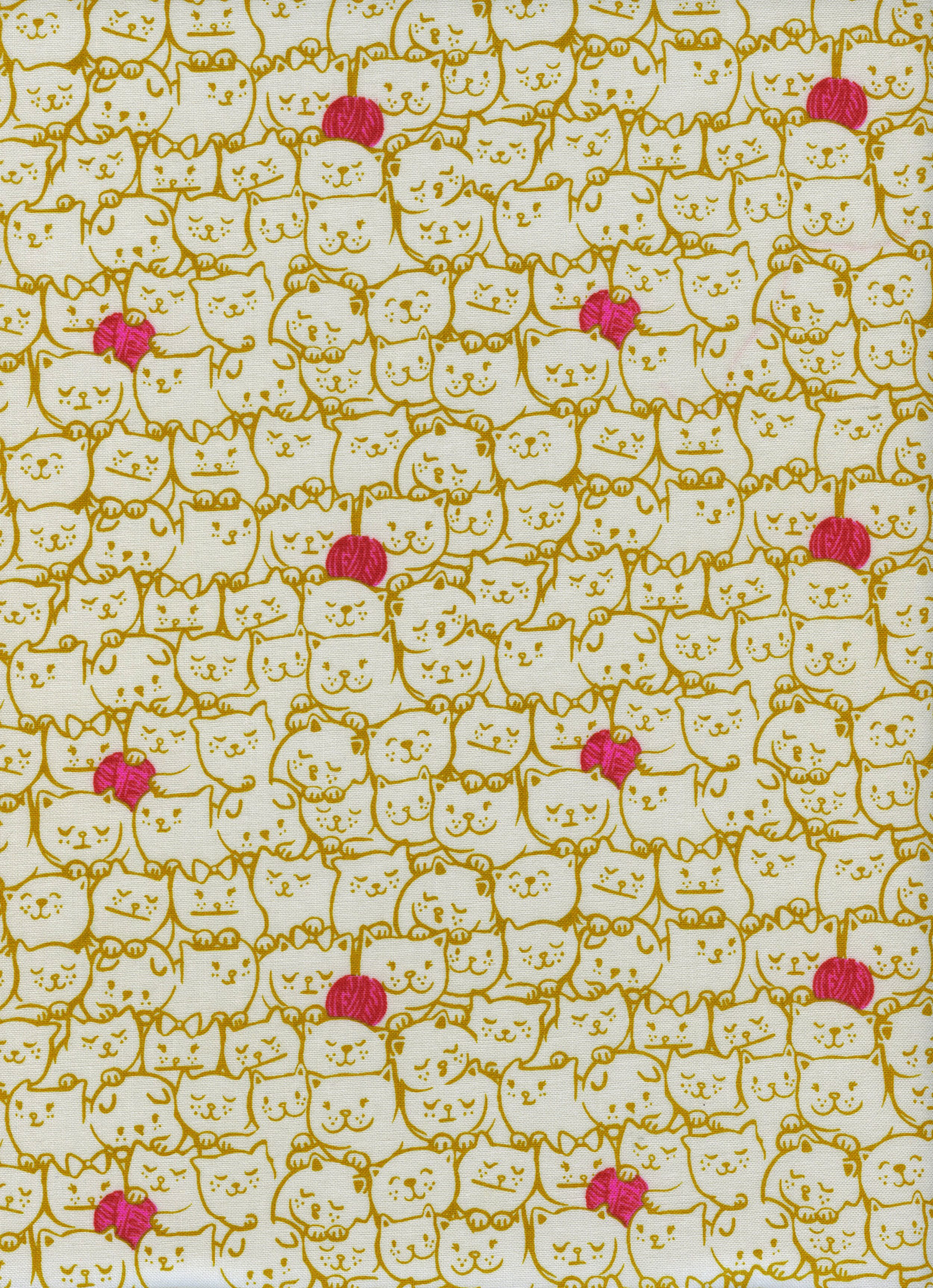 2029-01.Sarah.CatLady.StackOCats.Mustard.jpeg