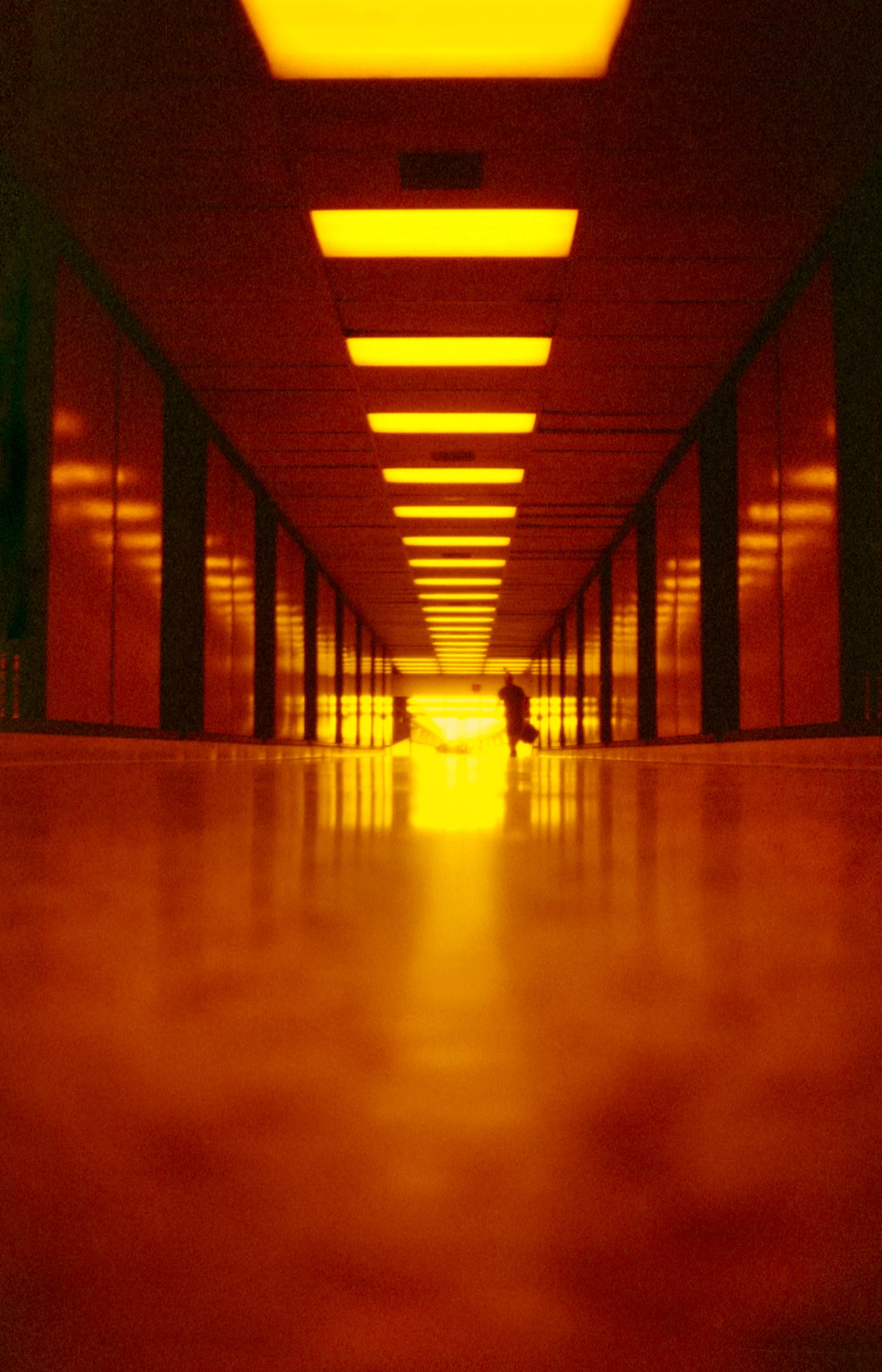 Ricoh FF1 Red Dragon Redscale Film