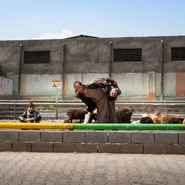 Kabul city shepherds happily guarding what I guess could qualify as an essential food store?&mdash;hence beating lockdown anti-corona measures, which are getting stricter and stricter, making the city quieter and quieter each day. Nothing like a Euro