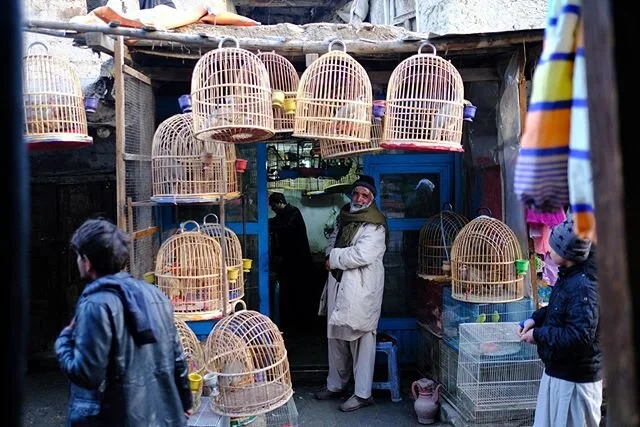 At the birds market in Kabul, over a year ago as I was discovering this wonderful city, inhabited by some of the most resilient people in the world. Praying all will be protected from the #coronavirus, although things look pretty grim right now. The 