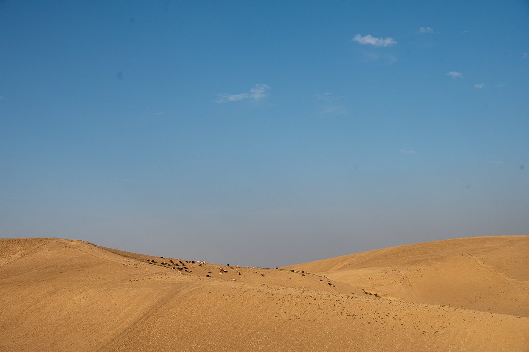 DSC_4396.jpg