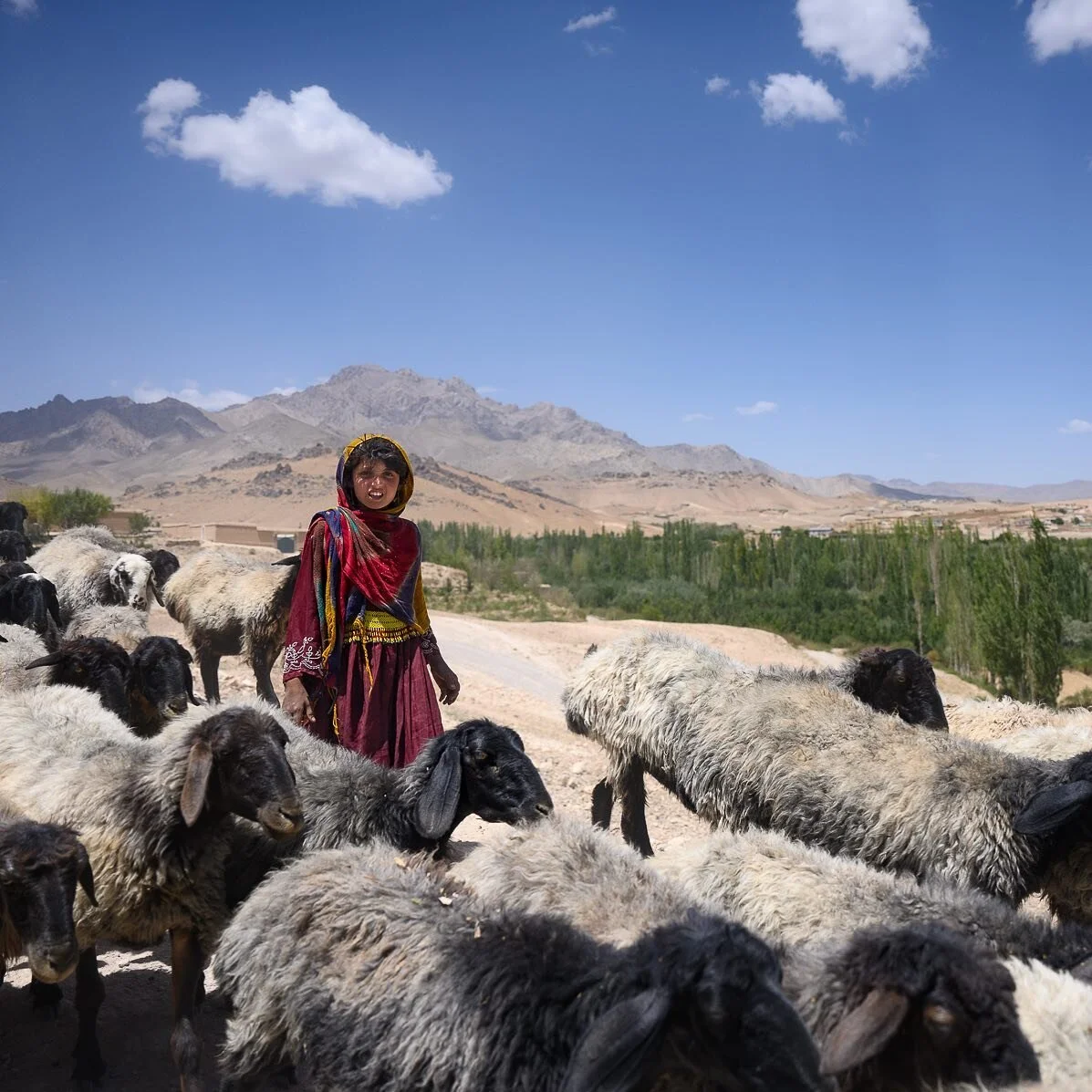 &quot;The Afghans were perceived as mere pawns on the chessboard of western diplomacy, to be engaged or sacrificed at will. It was a precedent that was to be followed many other times, by several different powers, over the years and decades to come; 