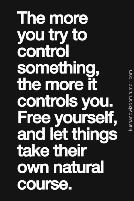 The-more-you-try-to-control-something-the-more-it-controls-you.-Free-yourself-and-let-things-take-their-own-natural-course.jpeg