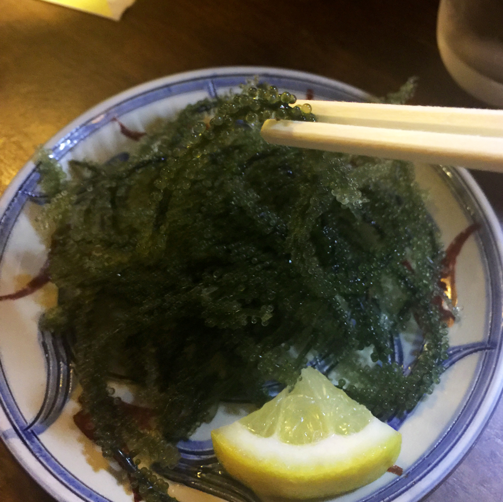 Umibudo - Okinawan Sea Grapes - one of the super foods responsible for Okinawa's long life expectancy. It's a sea-salty, refreshing seaweed, wish I had the chance to try this in a rice dish!