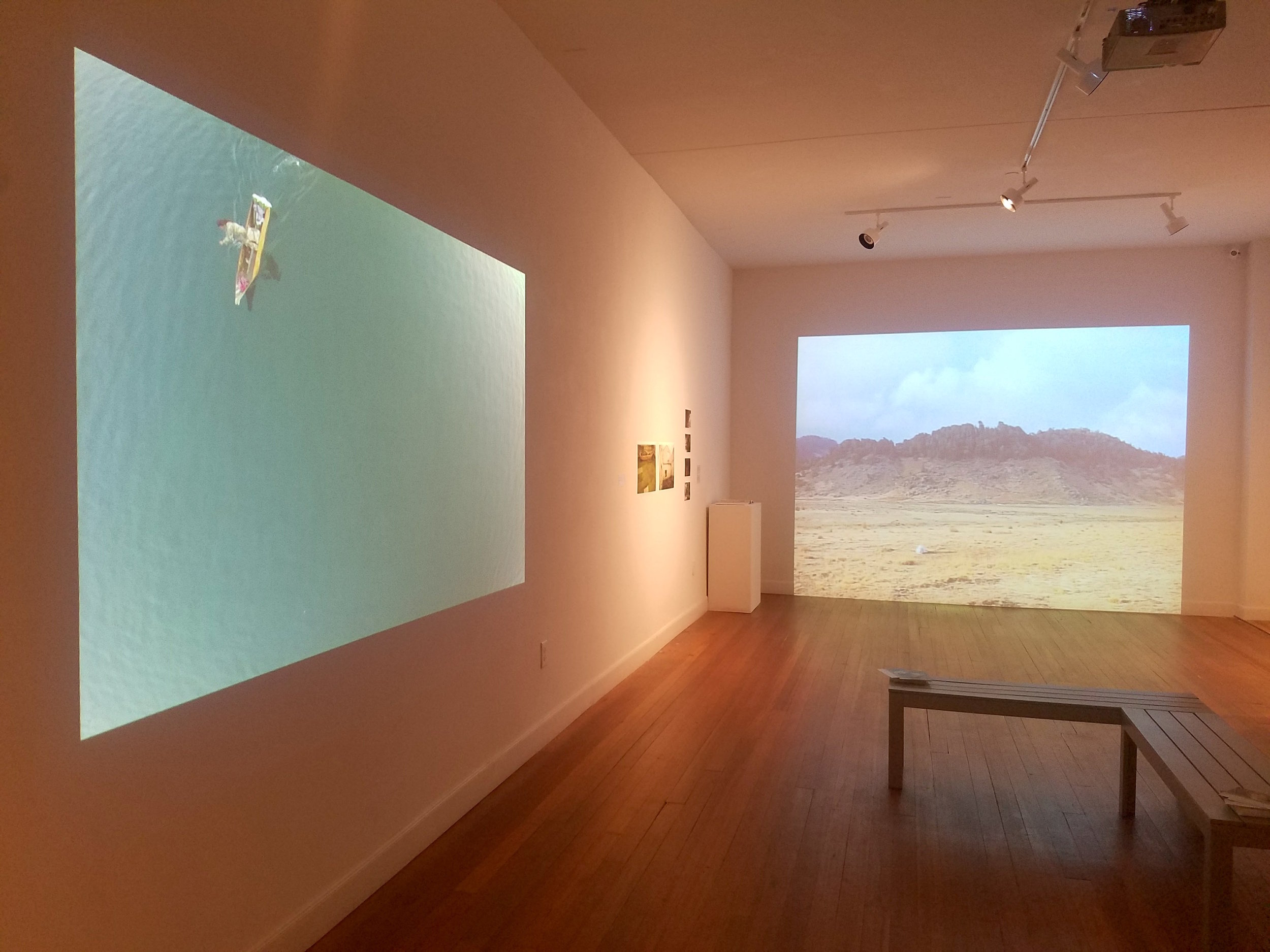Installation view of Una piedra y la lluvia at Lawndale Art Center, Houston, TX. March 2017.