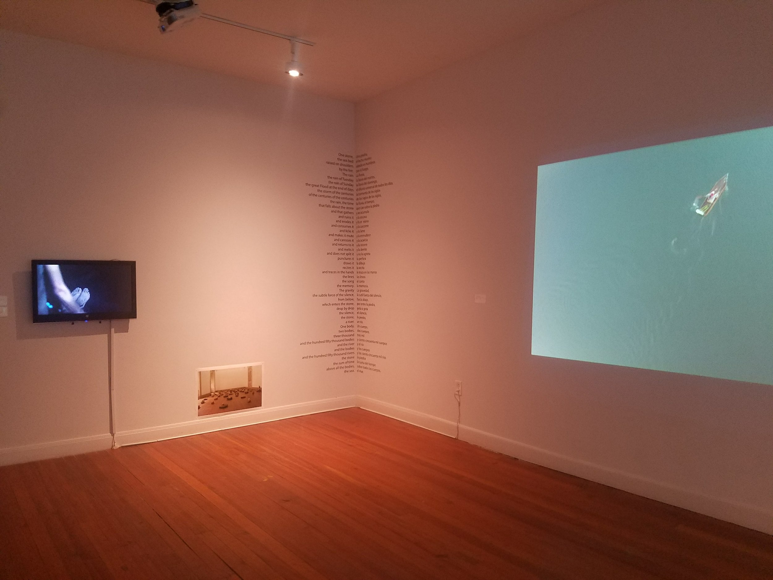 La muestra Una piedra y la lluvia , en Lawndale Art Center, Houston, TX hasta el 23 de abril 2017.