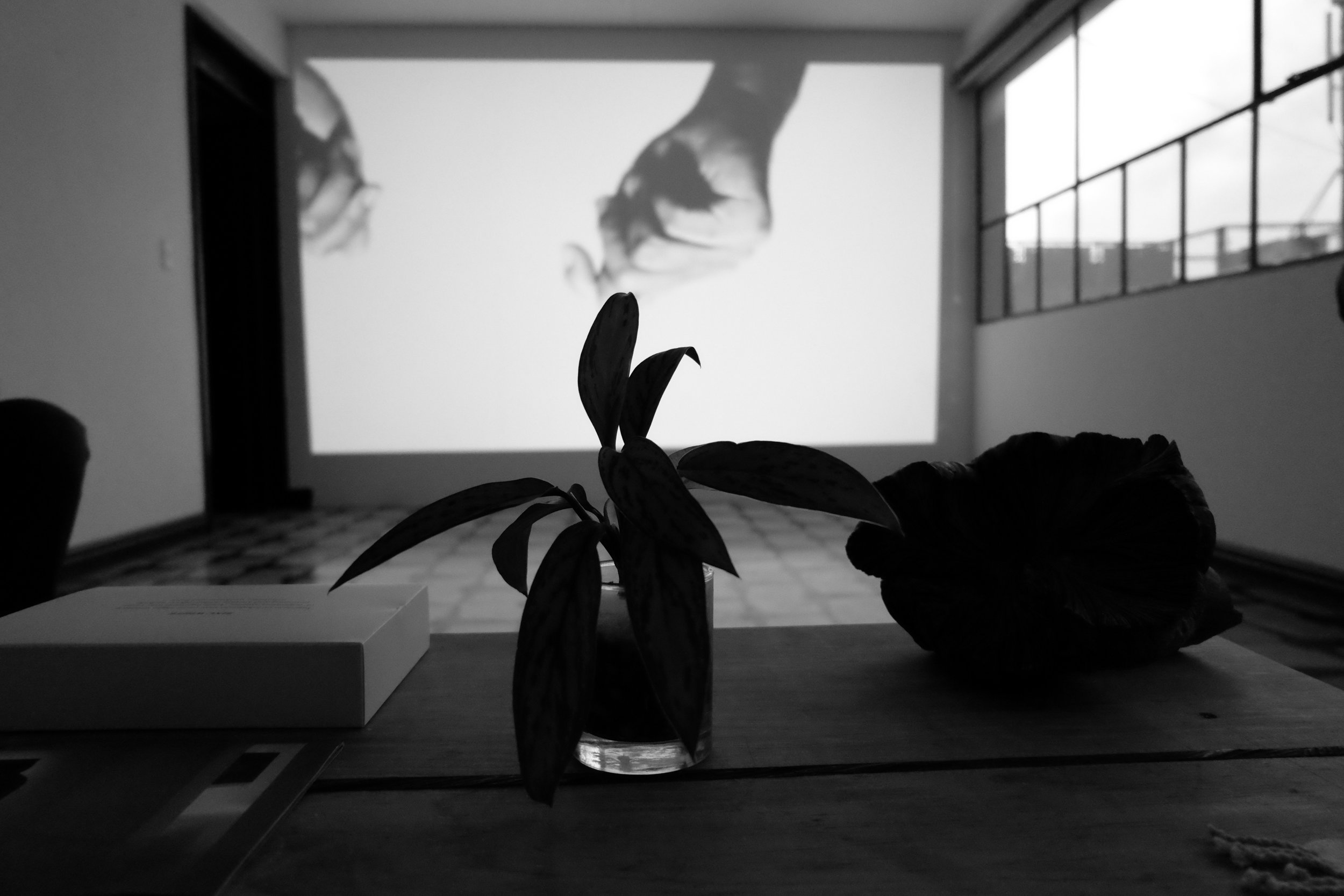 Tropo 2 (N) by Gustavo Artigas, installation view at Espacio Yvonne (2016).