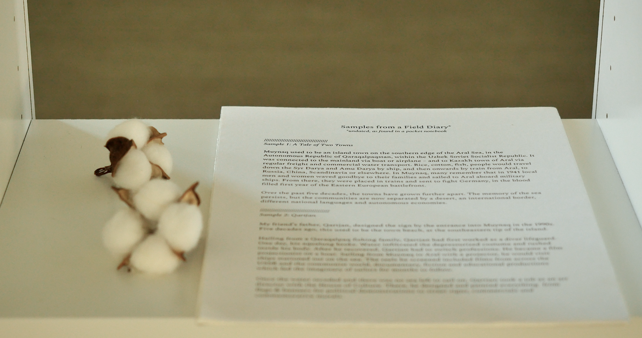 Samples from a Field Diary - written by Toma Peiu