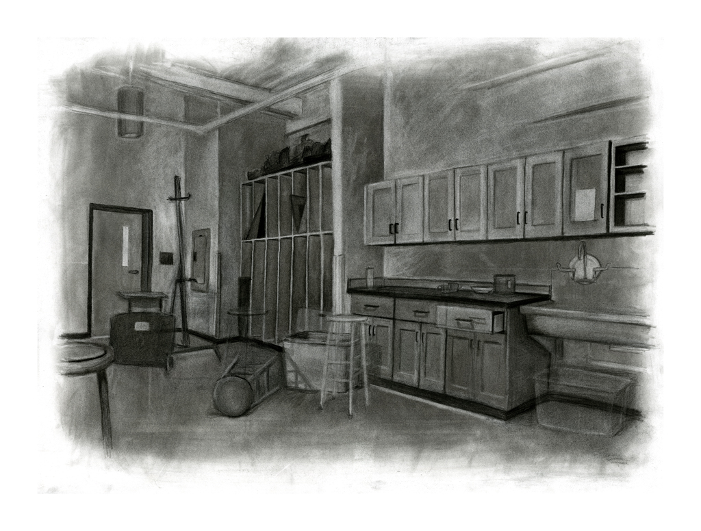 Subtractive/Additive Charcoal 2014