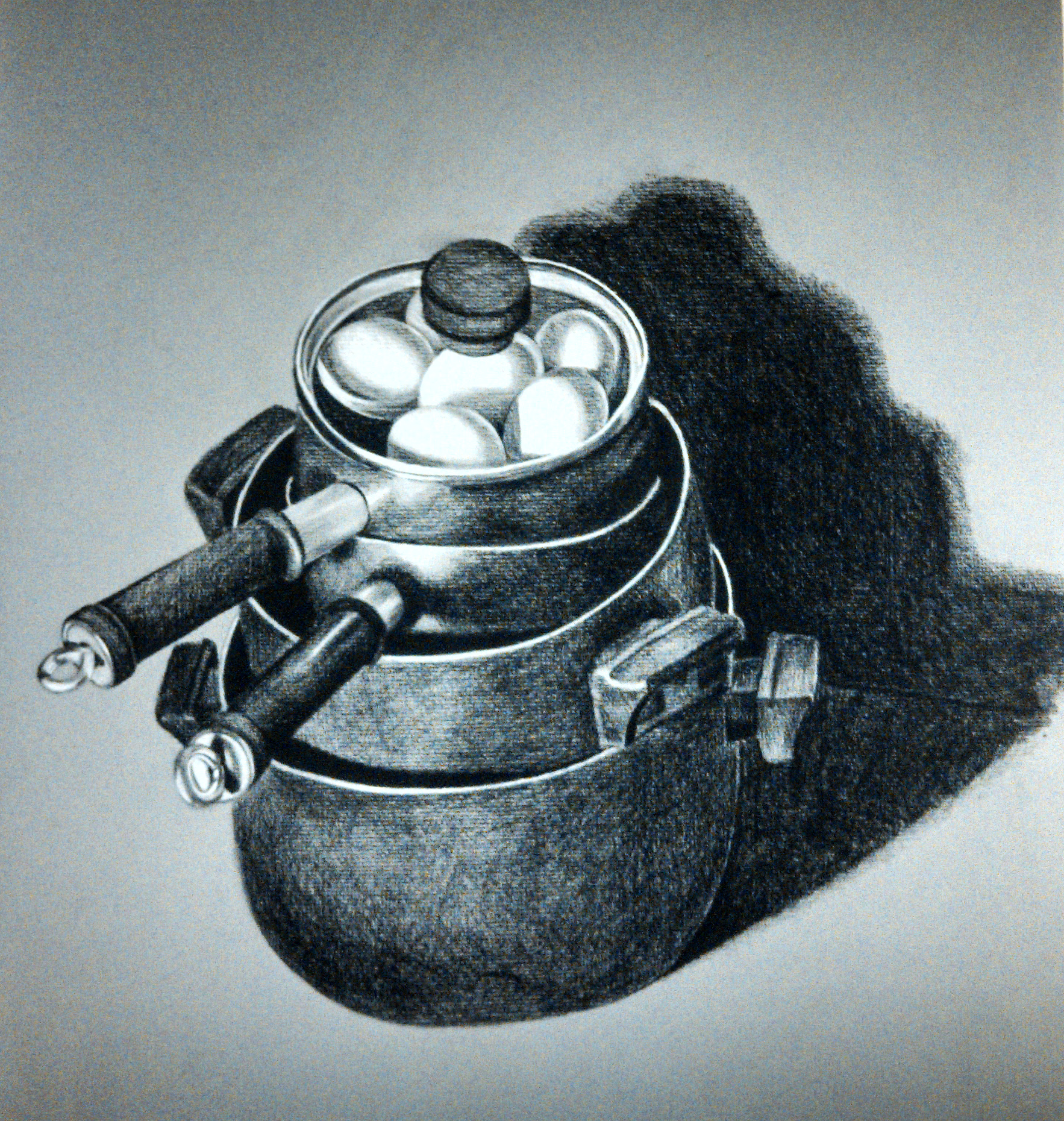 Charcoal on Toned Paper 2013