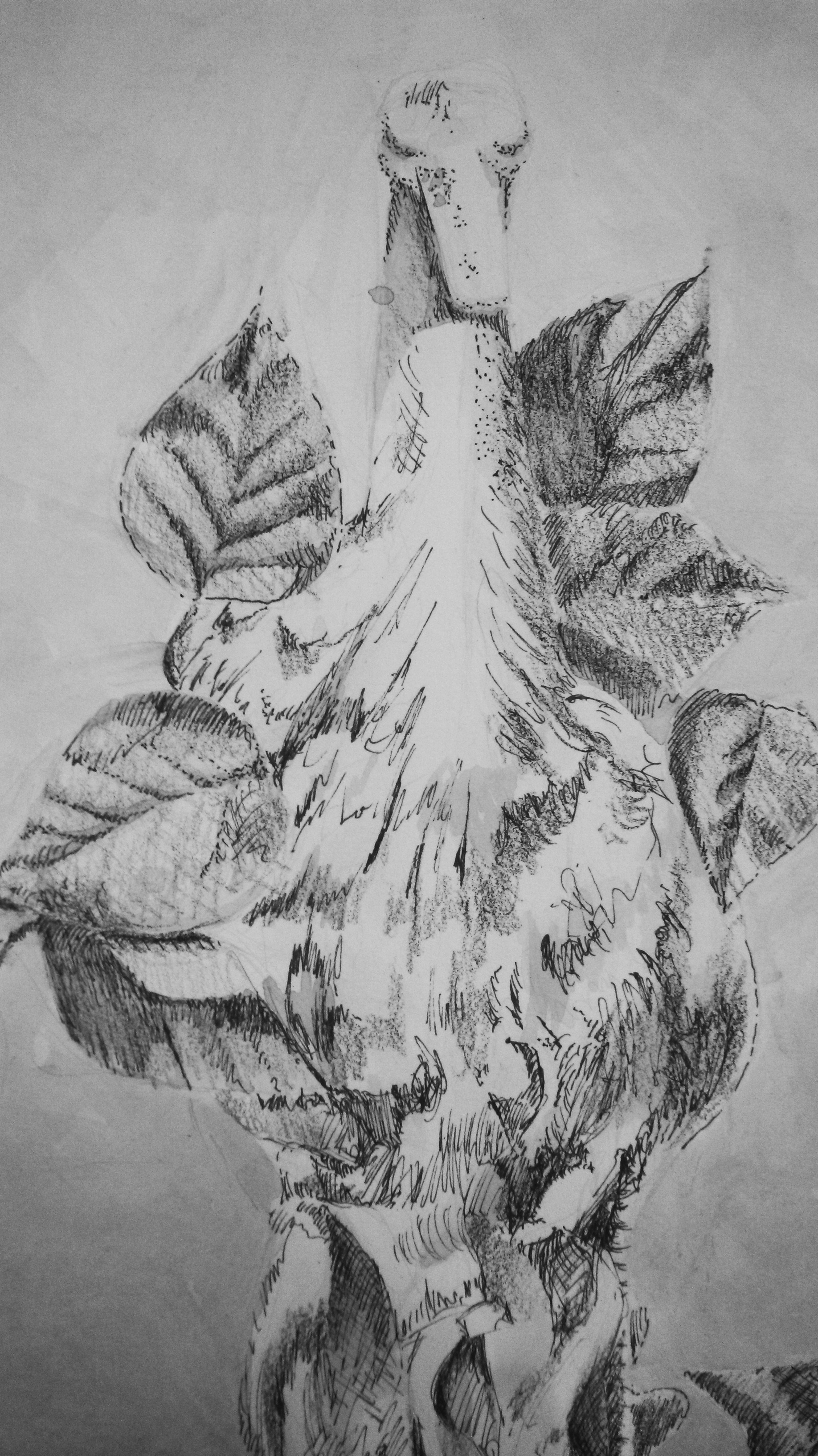 Ink Wash and Pen 2014
