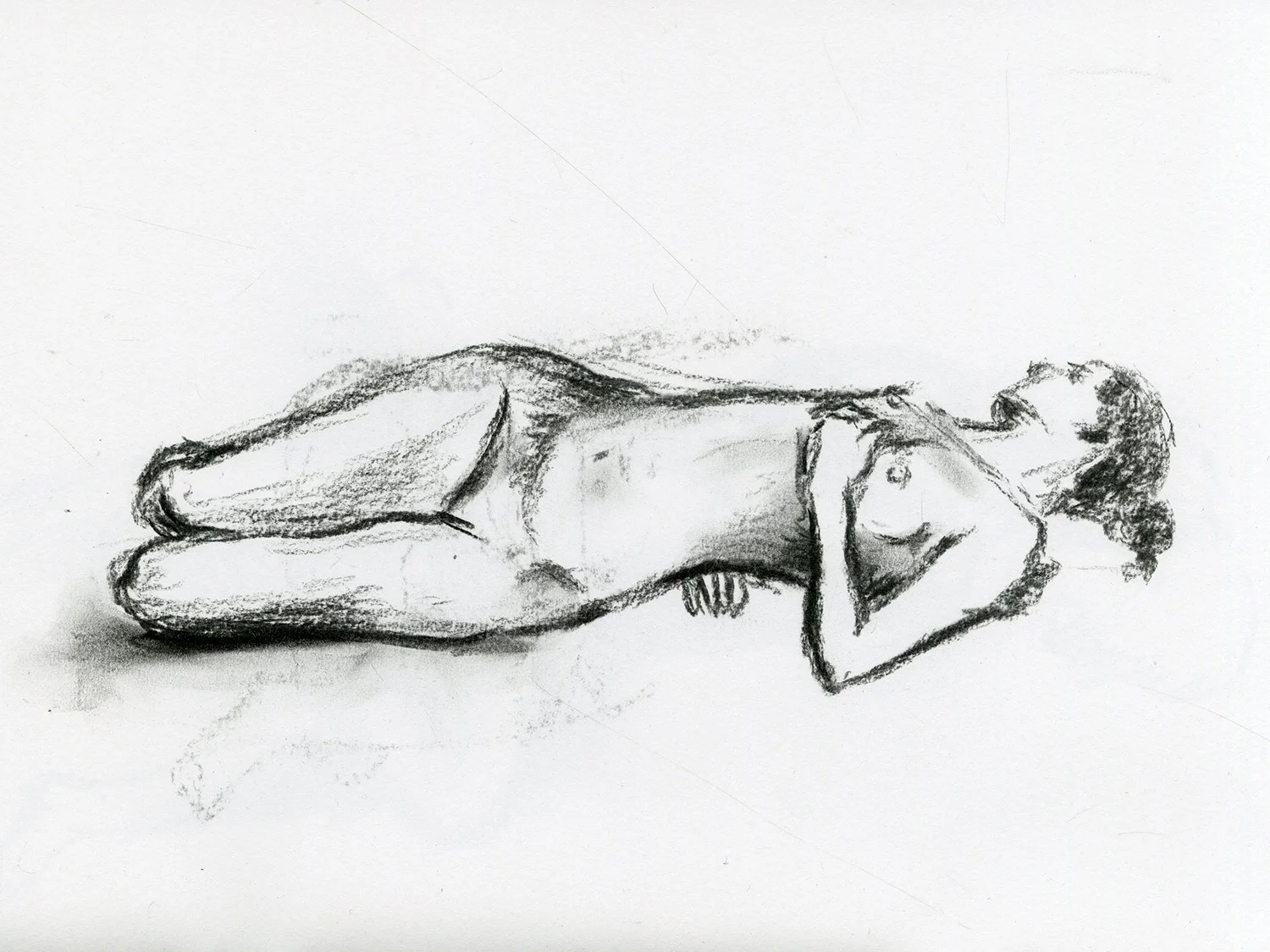 img145_web.jpg