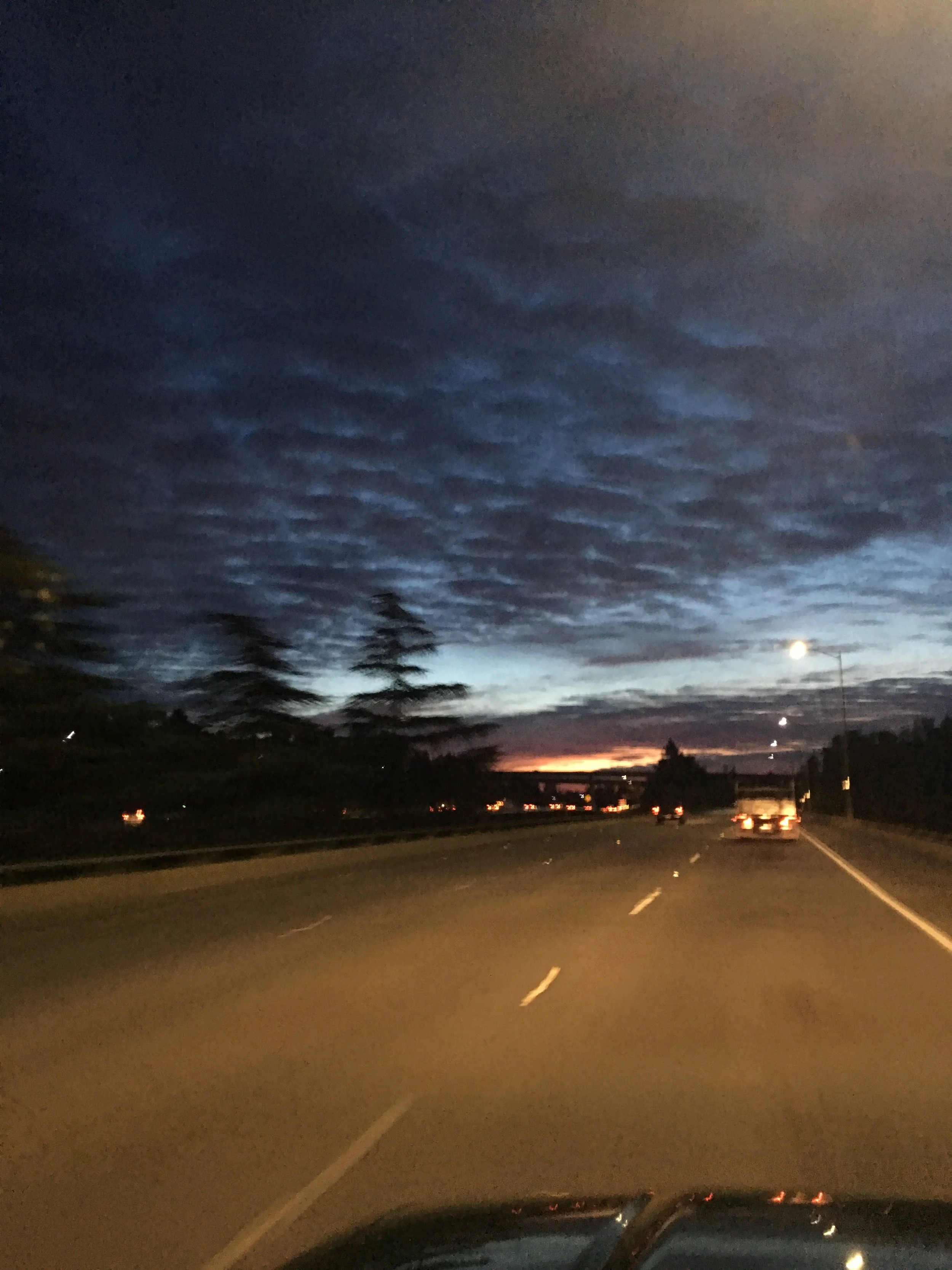 20170103_142910579_iOS.jpg