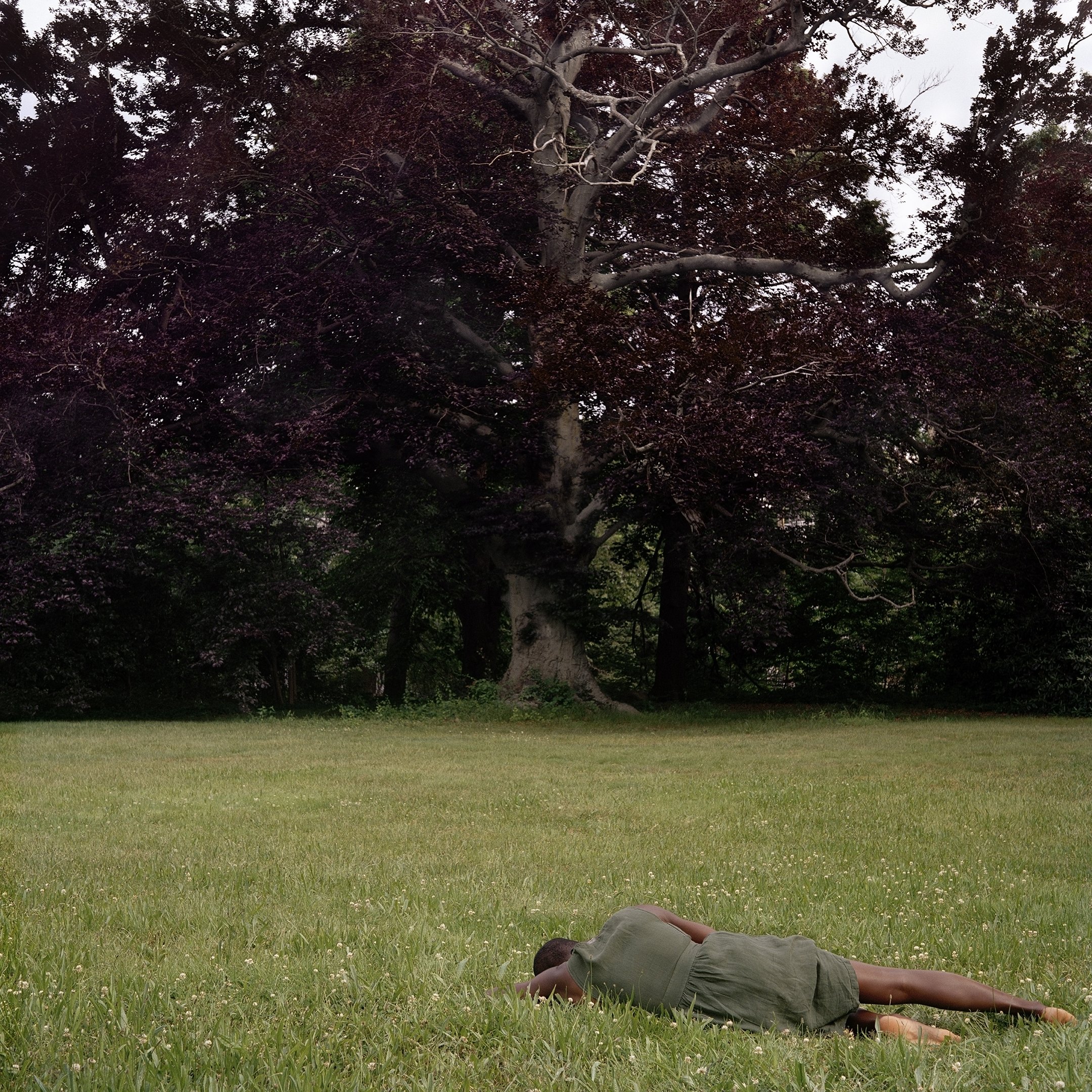 Laying in a Field of Green, 2019-2022